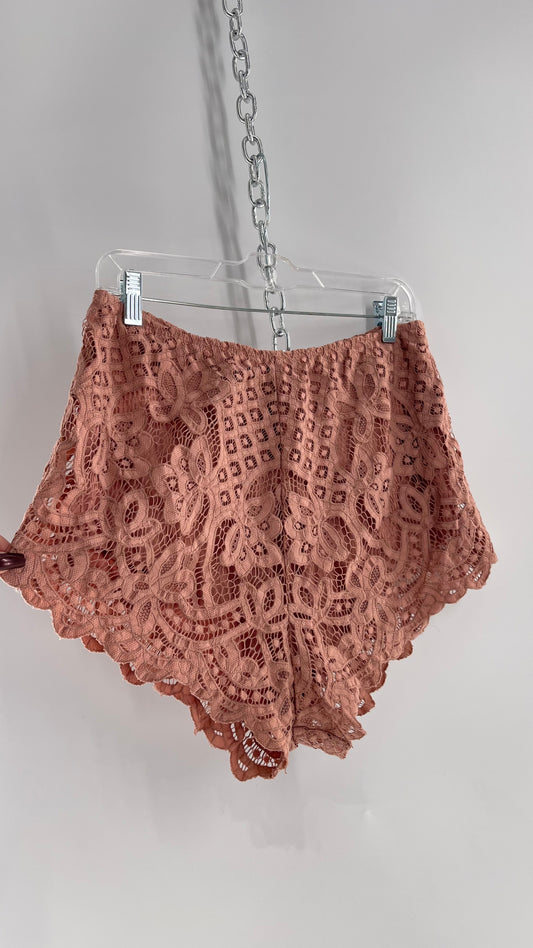 Intimately Free People Dusty Pink Lace Shorts (Large)