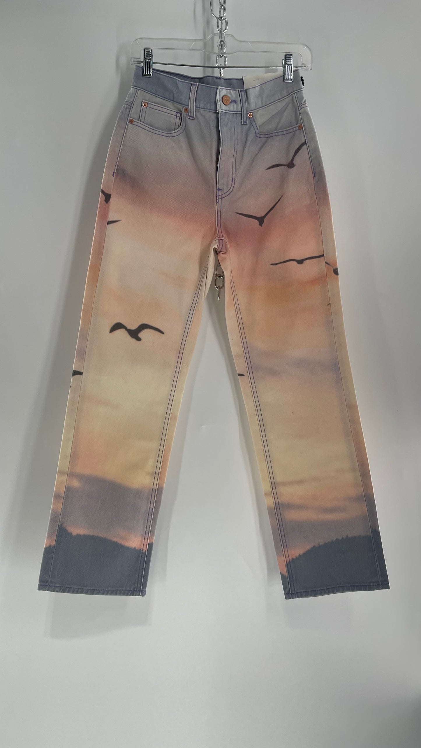 BDG Urban Outfitters Lilac Pink Horizon Line, Skyline Graphic Jeans (26)
