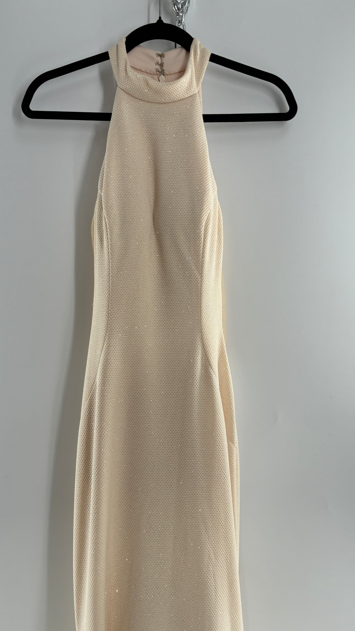 Vintage JOVANI Ivory Glittery Full Length Gown with Sheer Side Panels, Hourglass Illusion, and Pin Up Train (8)