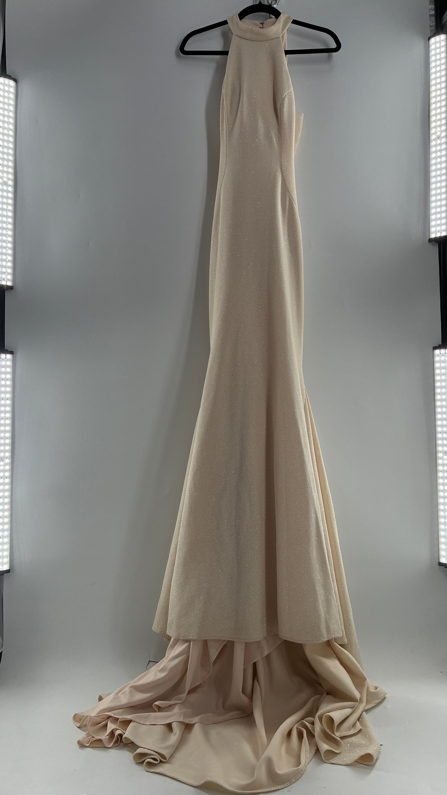 Vintage JOVANI Ivory Glittery Full Length Gown with Sheer Side Panels, Hourglass Illusion, and Pin Up Train (8)
