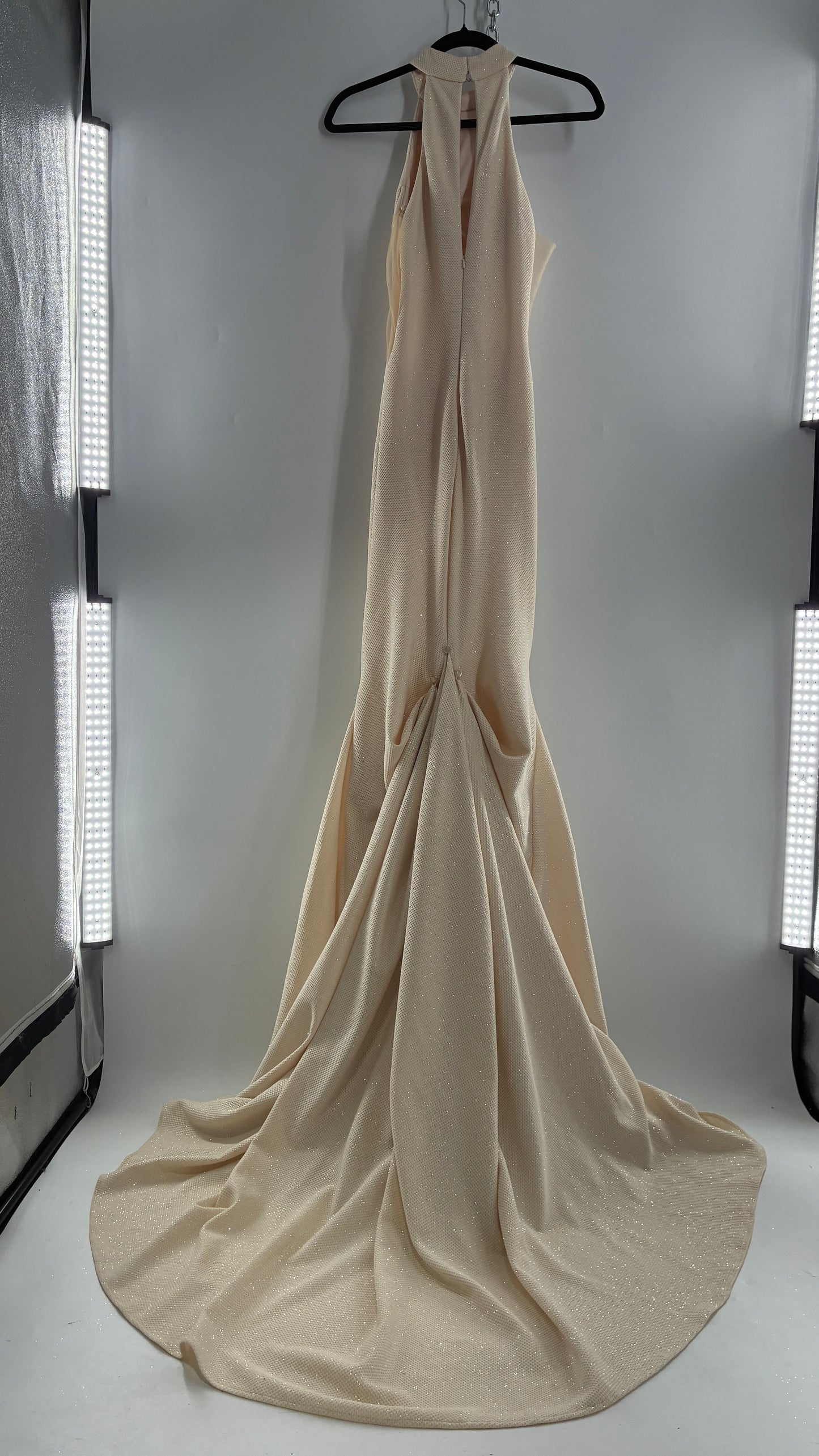 Vintage JOVANI Ivory Glittery Full Length Gown with Sheer Side Panels, Hourglass Illusion, and Pin Up Train (8)