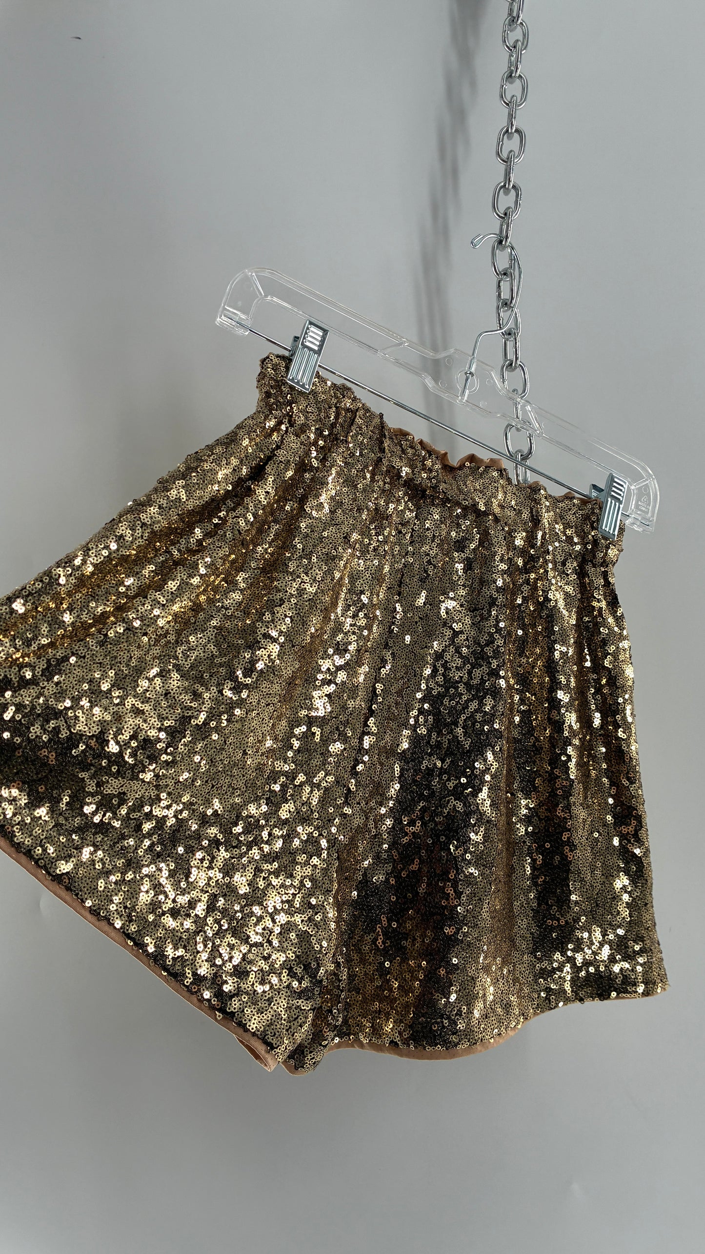Gold Sequin Shorts with Tan Mesh Lining (Small)