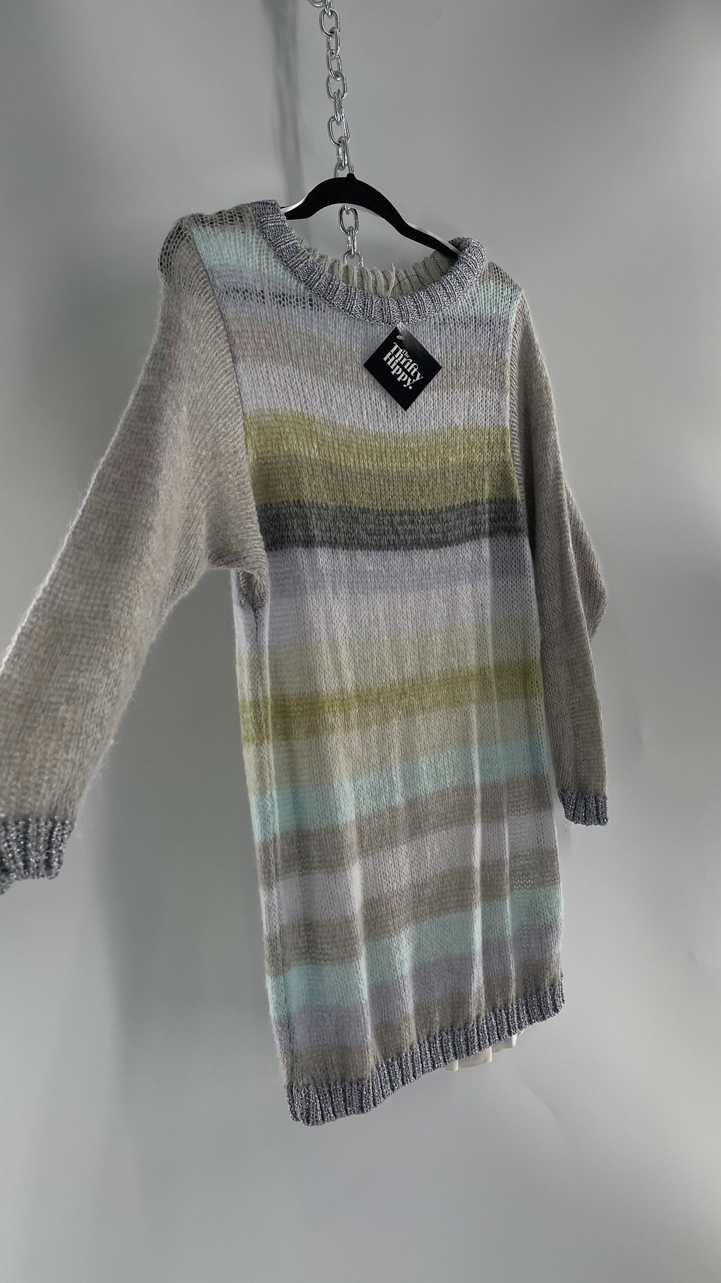 Free People Striped Sweater with Glitter Knit Cuffs and Collar (XS)