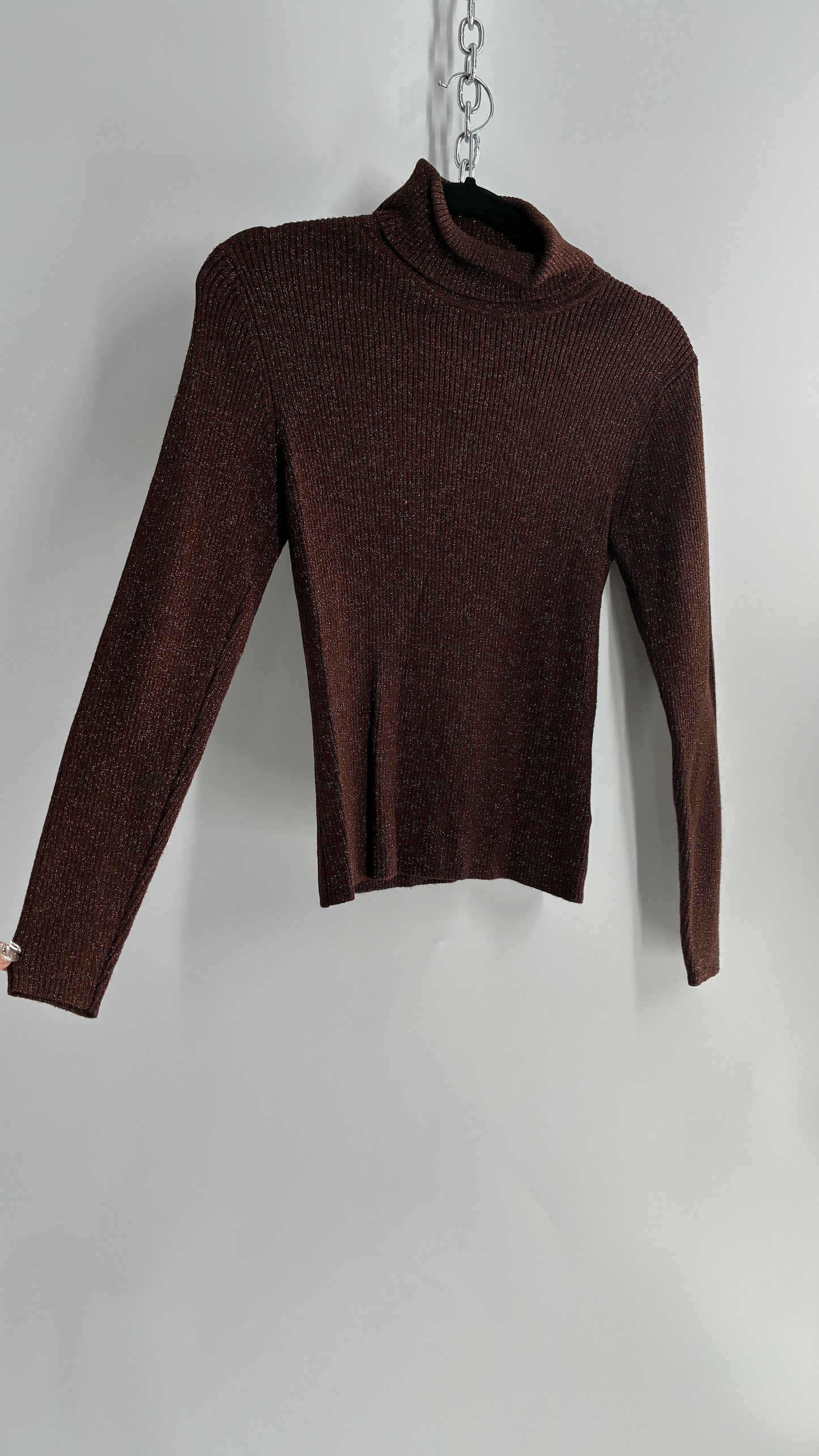 WORTHINGTON Brown Sparkle Tinsel Ribbed Knit Turtle Neck (Small)