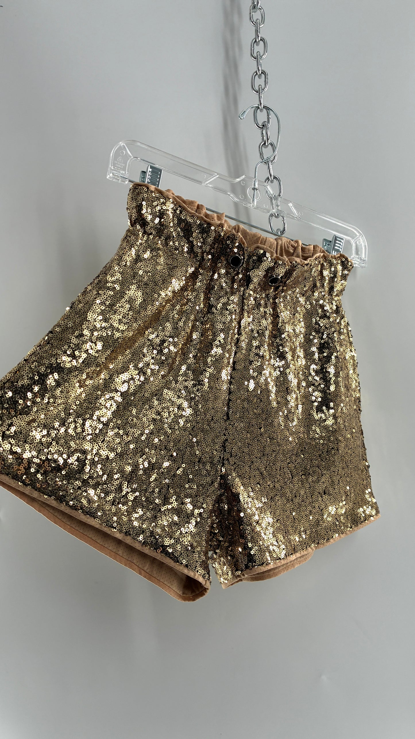 Gold Sequin Shorts with Tan Mesh Lining (Small)