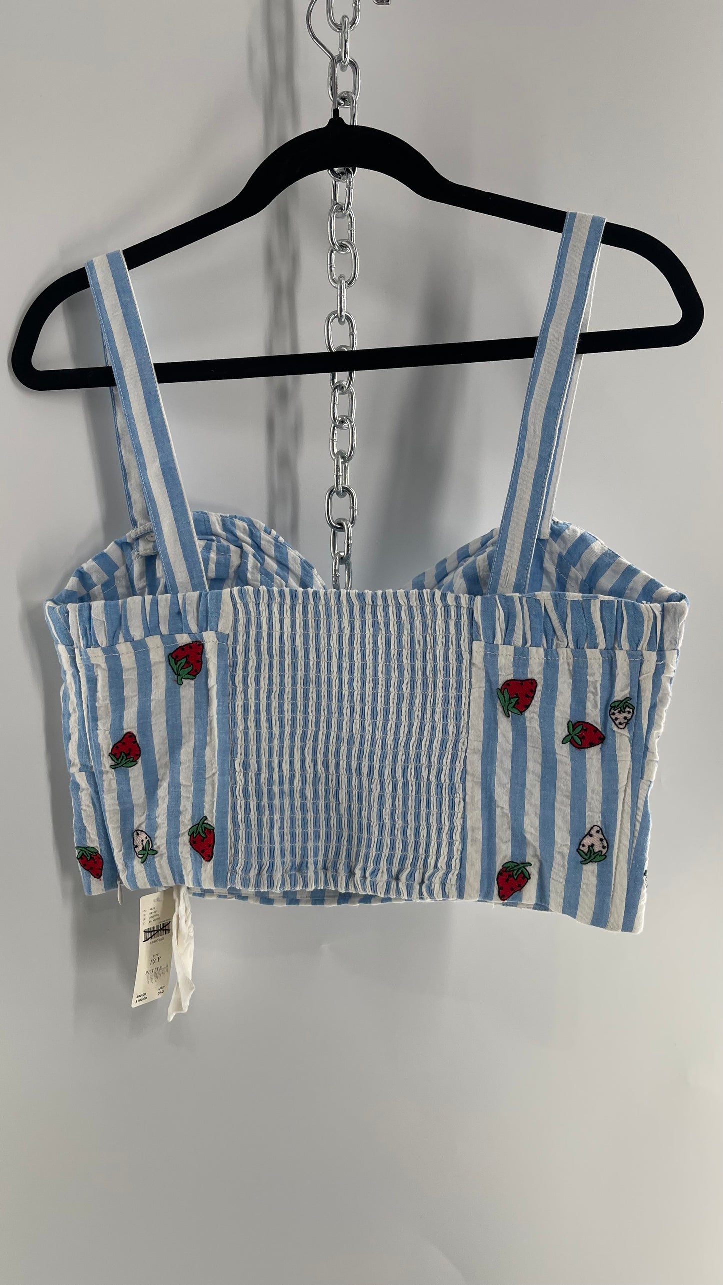 Maeve Anthropologie Baby Blue White Striped Corset Like Crop with Embroidered Strawberries (6)