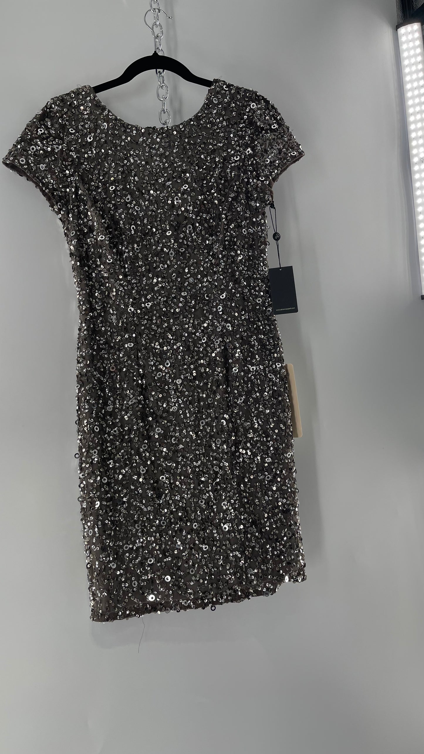 Adriana Papell Grey/Silver Short Sleeve Mini Dress Covered in Beads and Sequins (6)