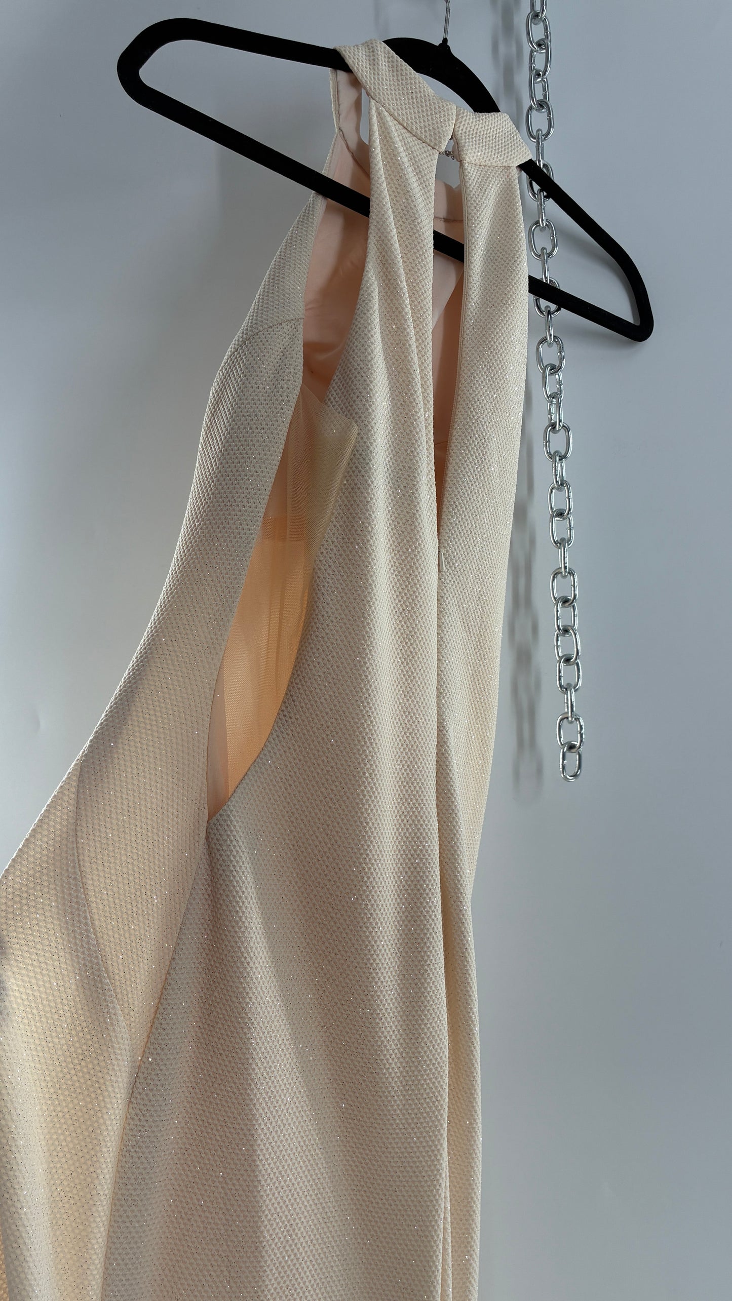 Vintage JOVANI Ivory Glittery Full Length Gown with Sheer Side Panels, Hourglass Illusion, and Pin Up Train (8)