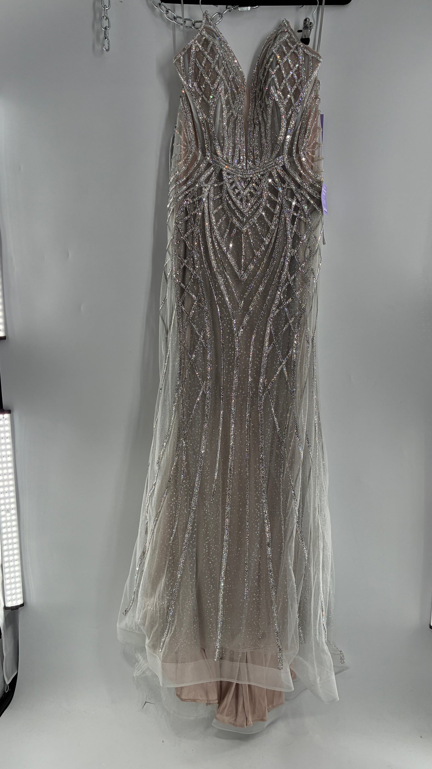 NWT LADIVINE by Cinderella Divine Silver Nude CC6018 Mermaid Corseted Gown with Multiple Layers of Tulle, Covered in Crystal Strips (16)