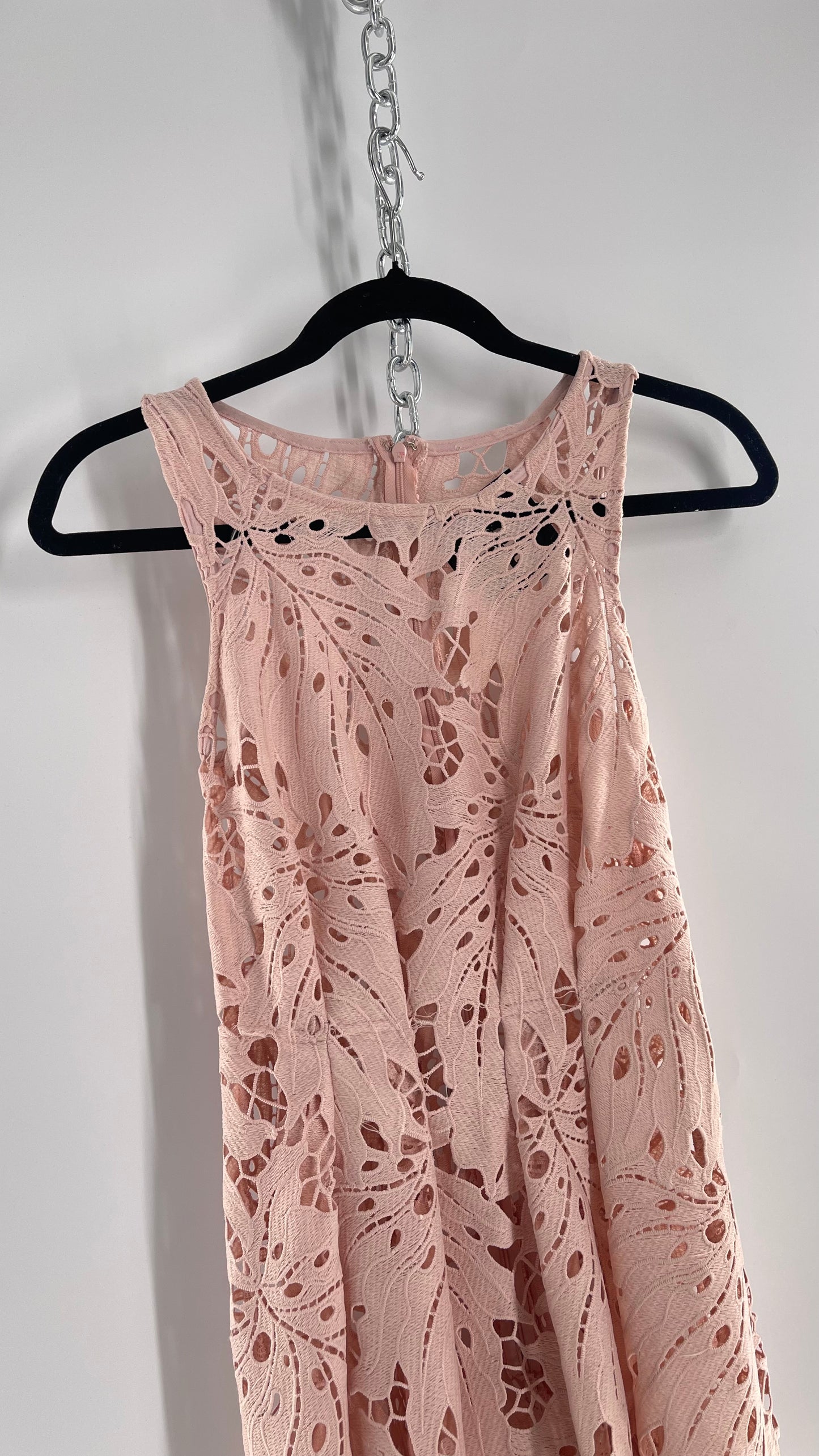 Anthropologie Eva Franco Baby Pink Completely Laser Cut Lace Palm Leaf Knee High Dress (2)