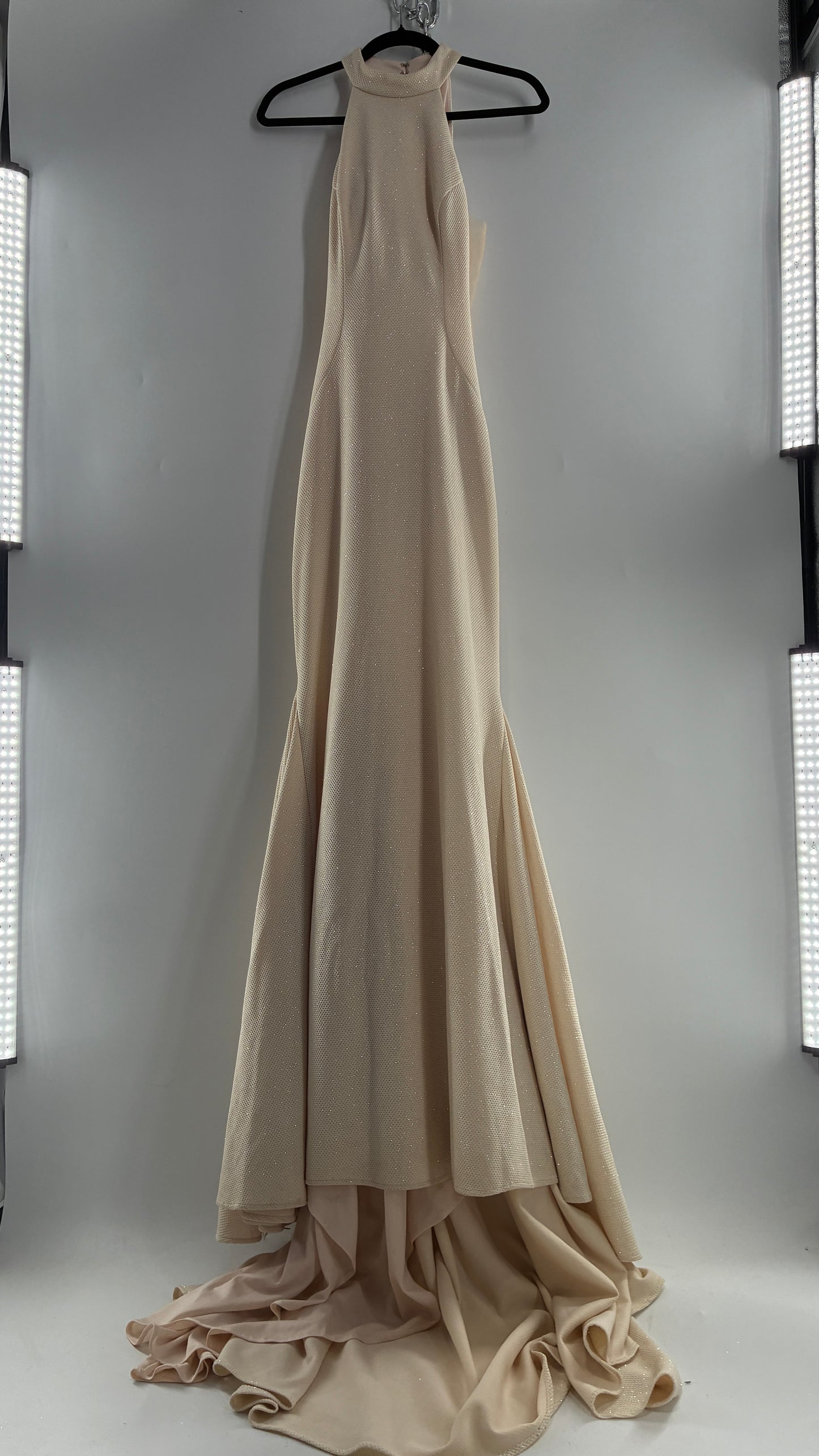 Vintage JOVANI Ivory Glittery Full Length Gown with Sheer Side Panels, Hourglass Illusion, and Pin Up Train (8)