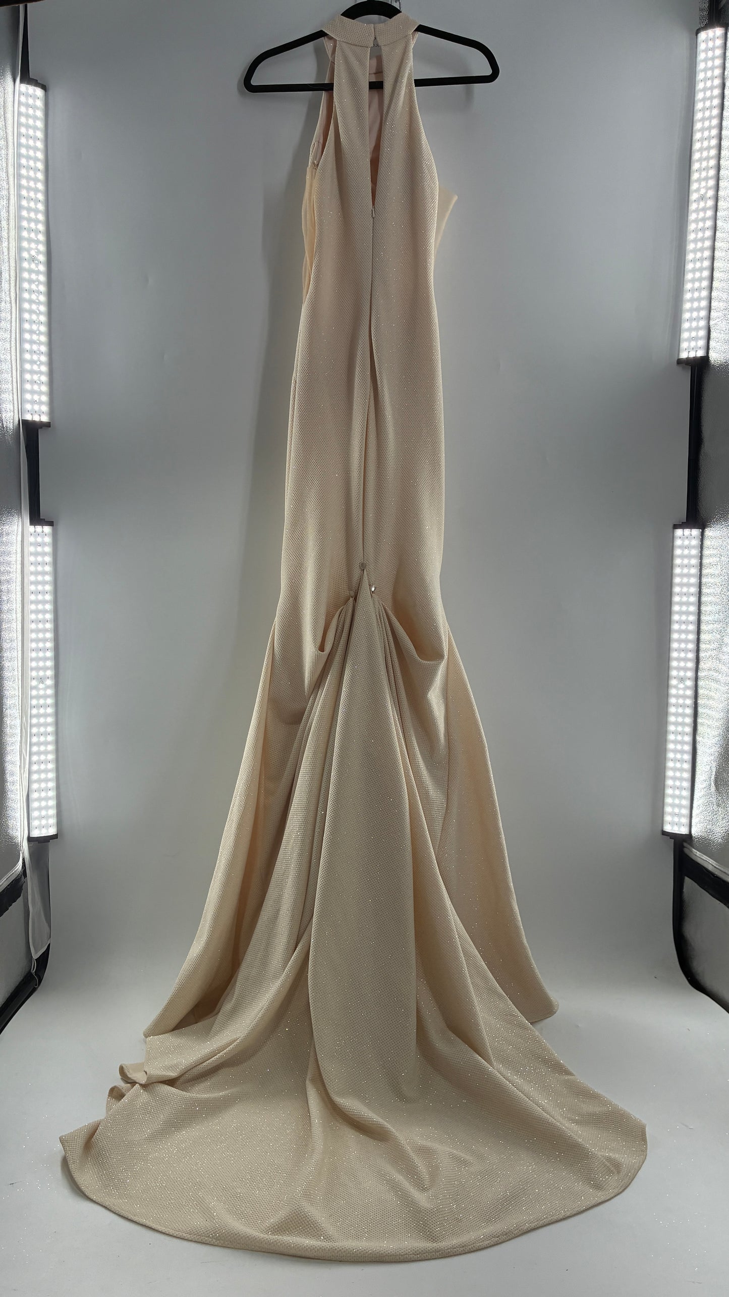 Vintage JOVANI Ivory Glittery Full Length Gown with Sheer Side Panels, Hourglass Illusion, and Pin Up Train (8)