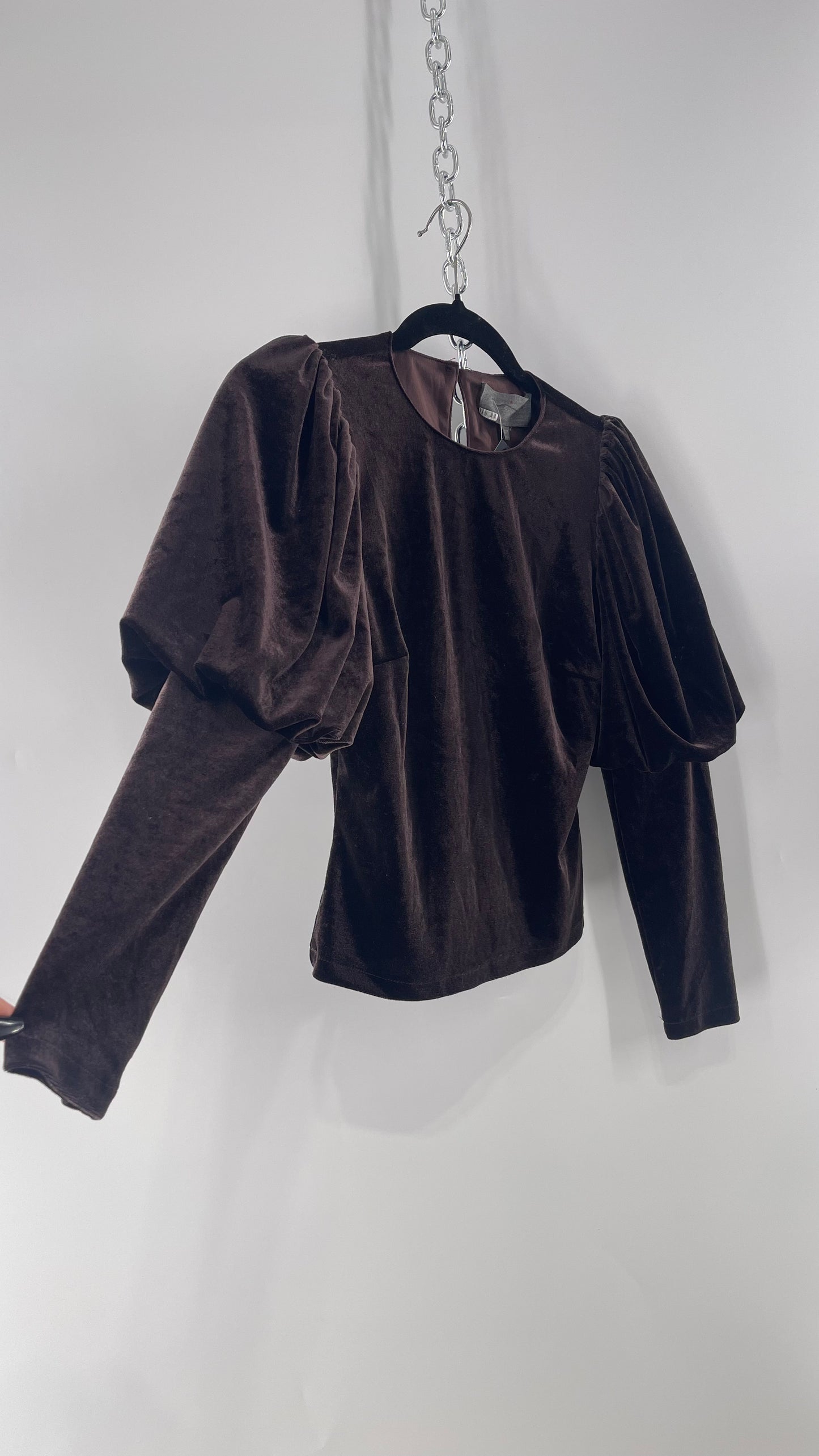 Anthropologie Sundays in Brooklyn Dark Brown Puff Shoulder, High Neck, Juliette Sleeve Blouse (XXSP)
