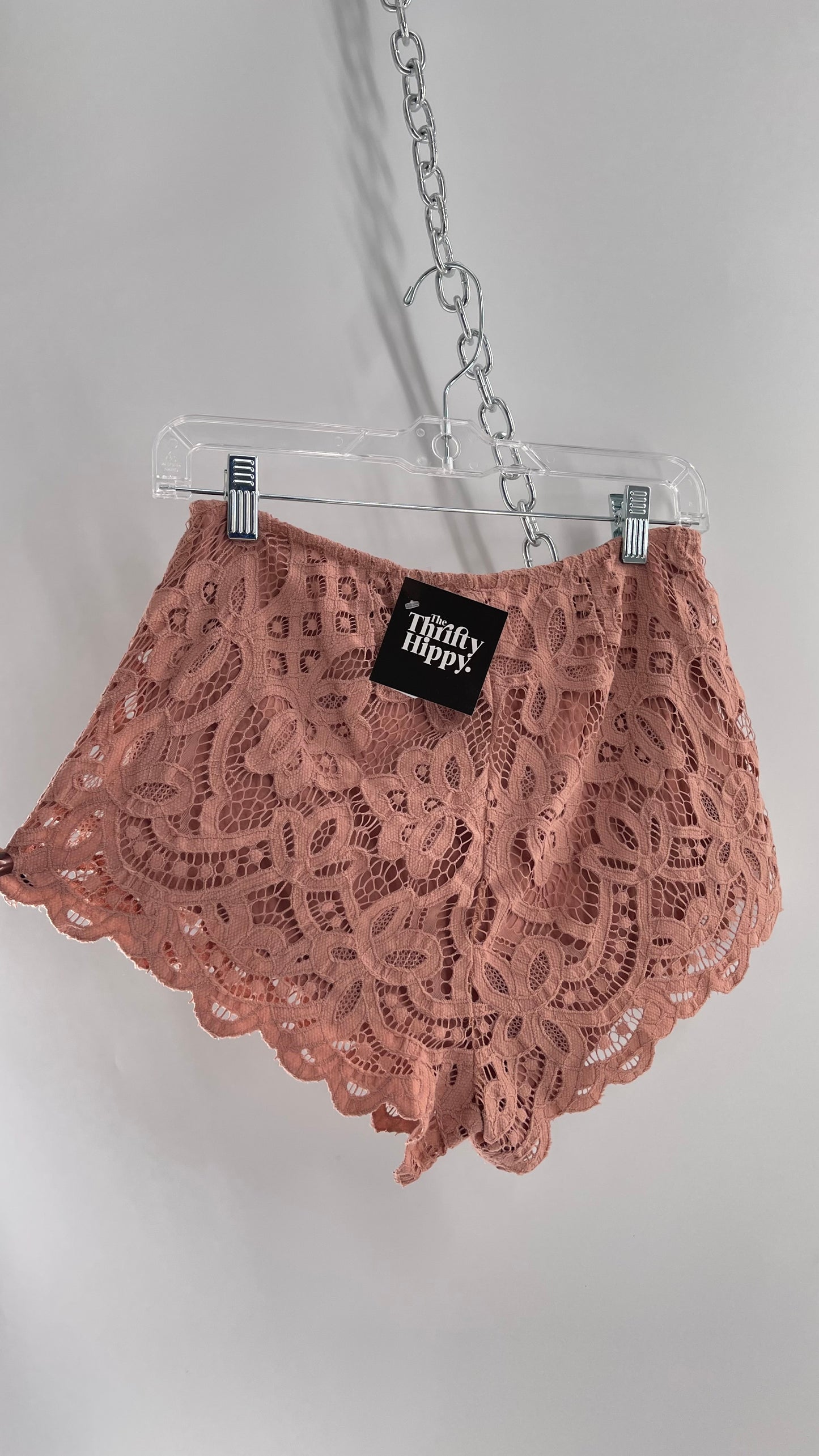 Intimately Free People Dusty Pink Lace Shorts (Small)