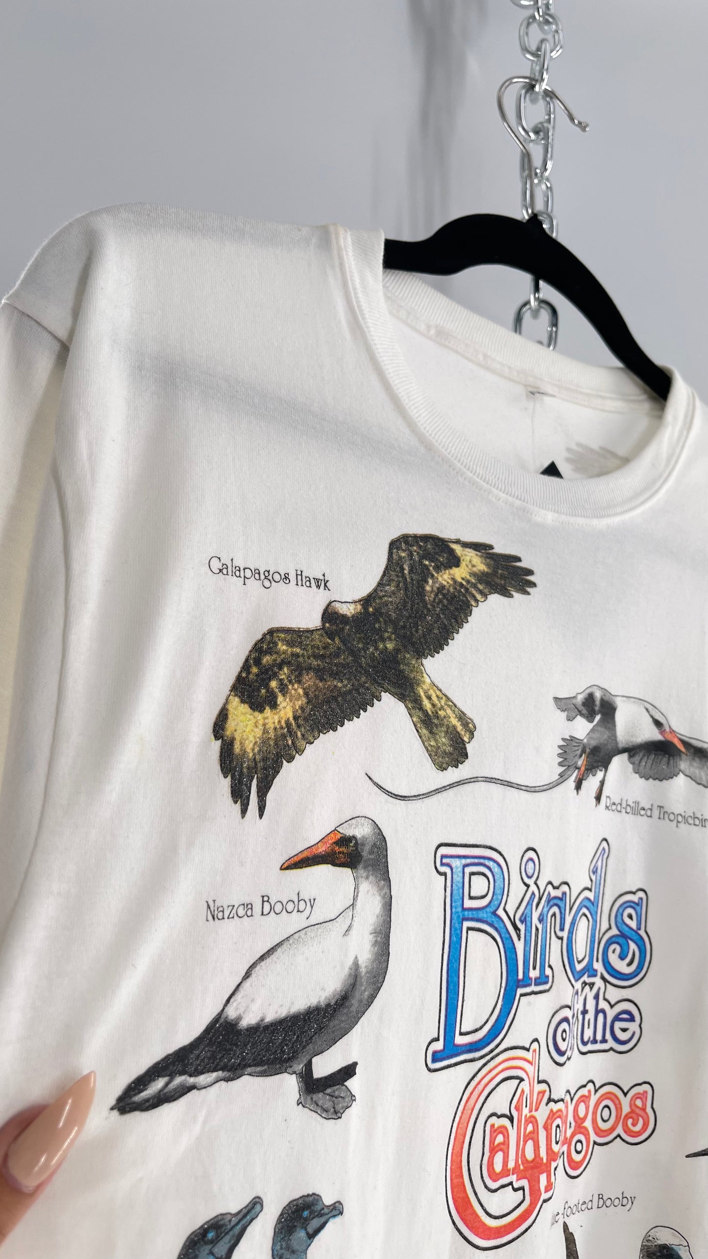 Vintage Glitter Galapagos Bird Species T (Medium)