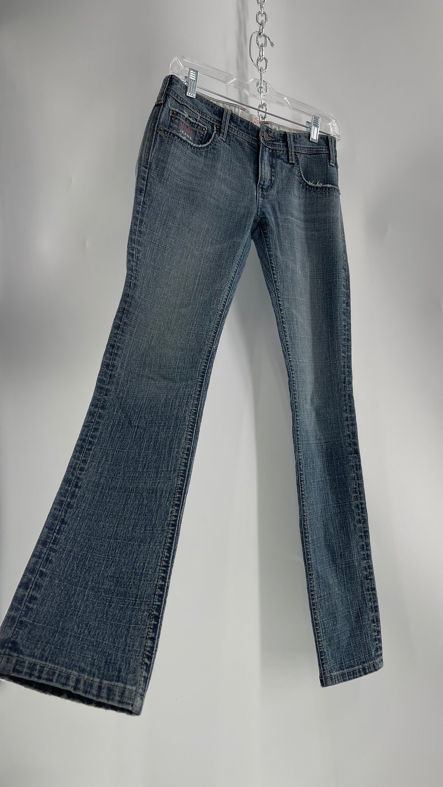 Vintage Smart AS JEANS Light Wash with Silver Metallic Female Posing Silhouette and Paulina Field Embroidery (28)