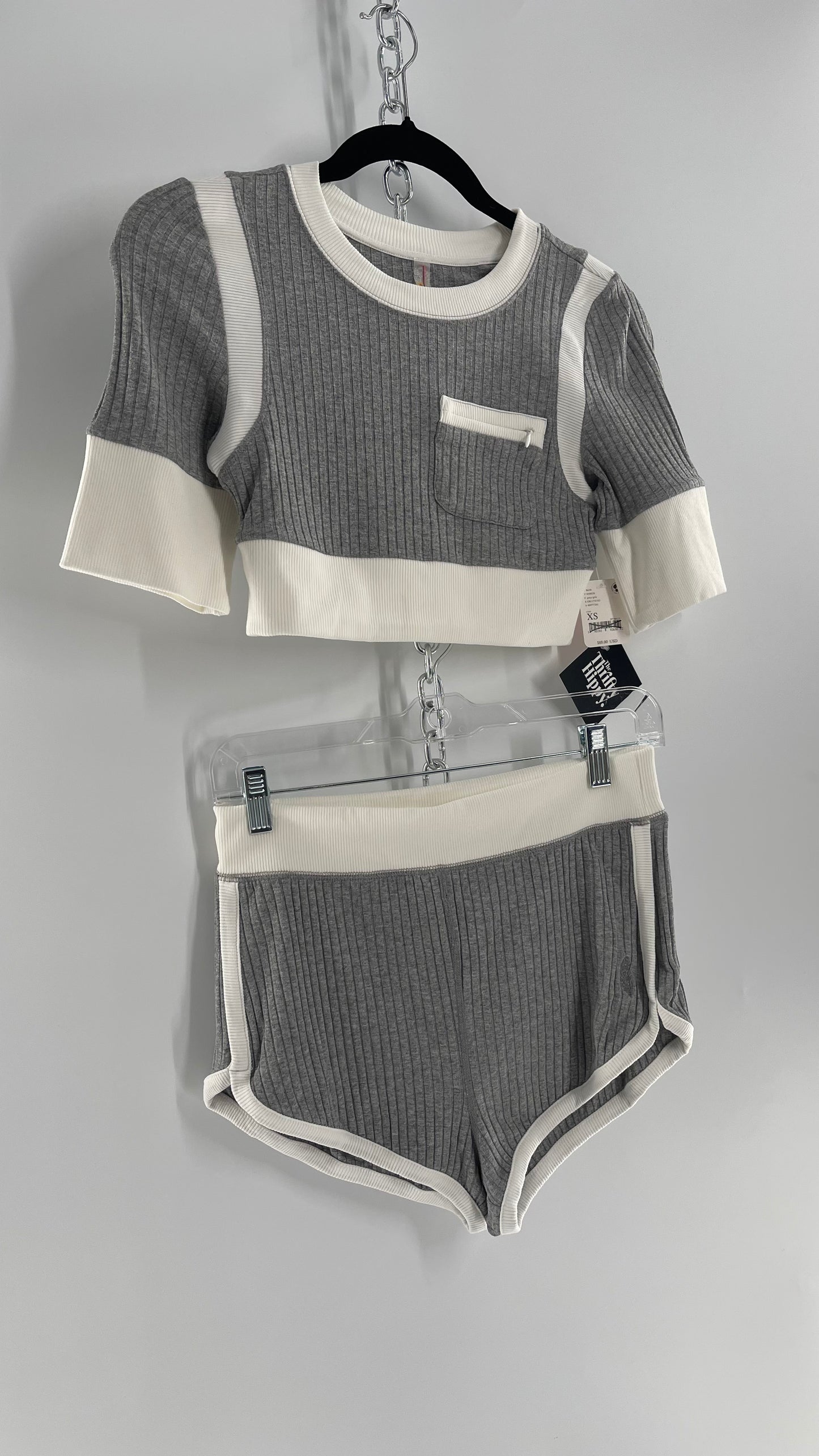 Free People Grey Knit Jersey Loungewear Set with Cropped Short Sleeve and Shorts (XS)
