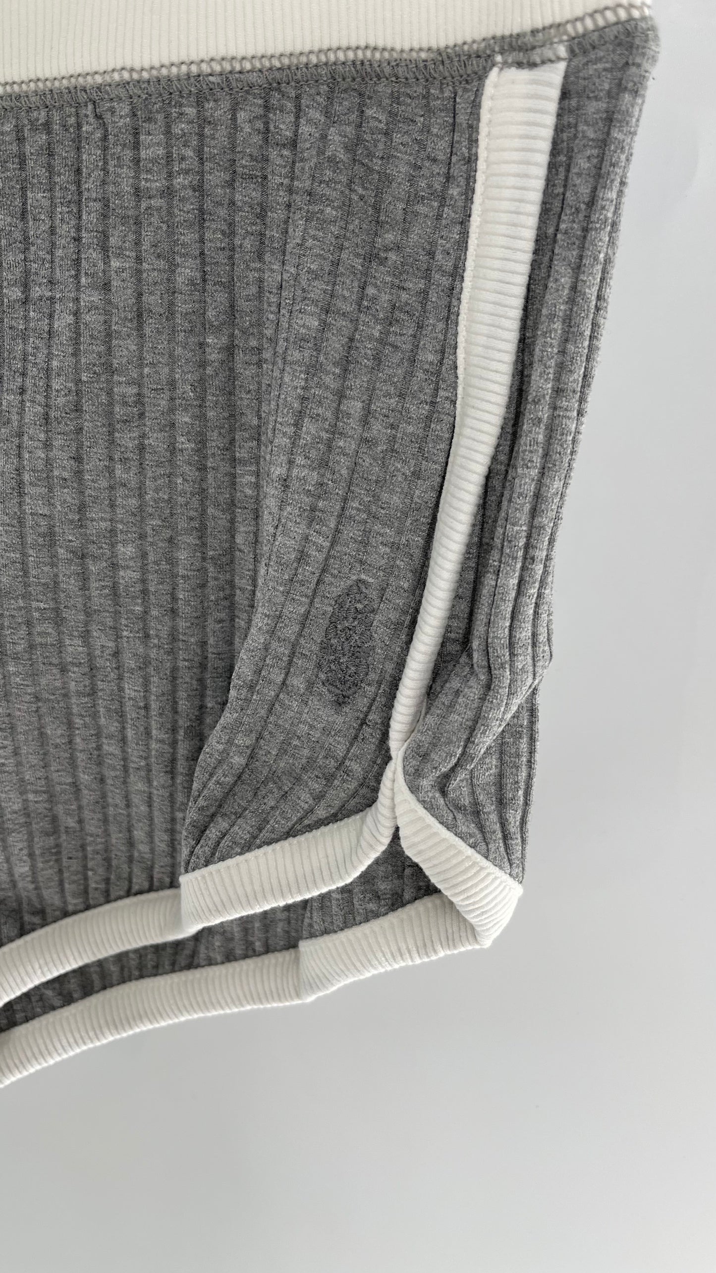 Free People Grey Knit Jersey Loungewear Set with Cropped Short Sleeve and Shorts (XS)