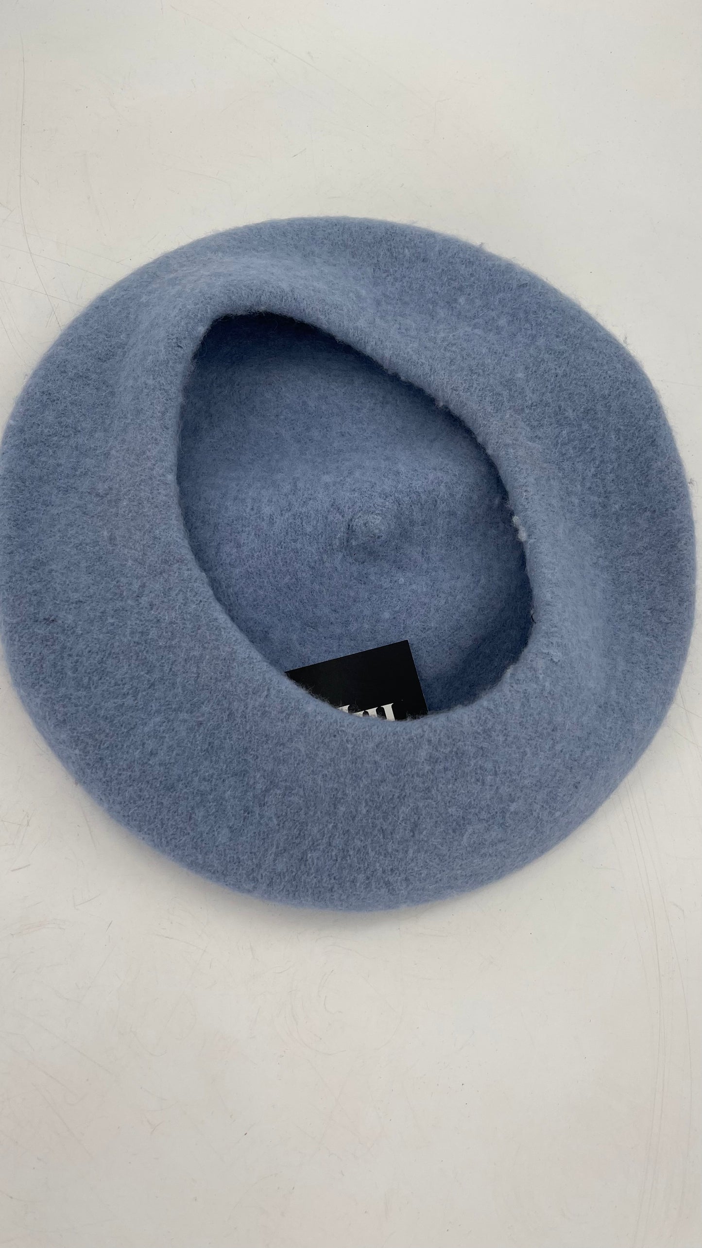 Free People Powder Blue Beret