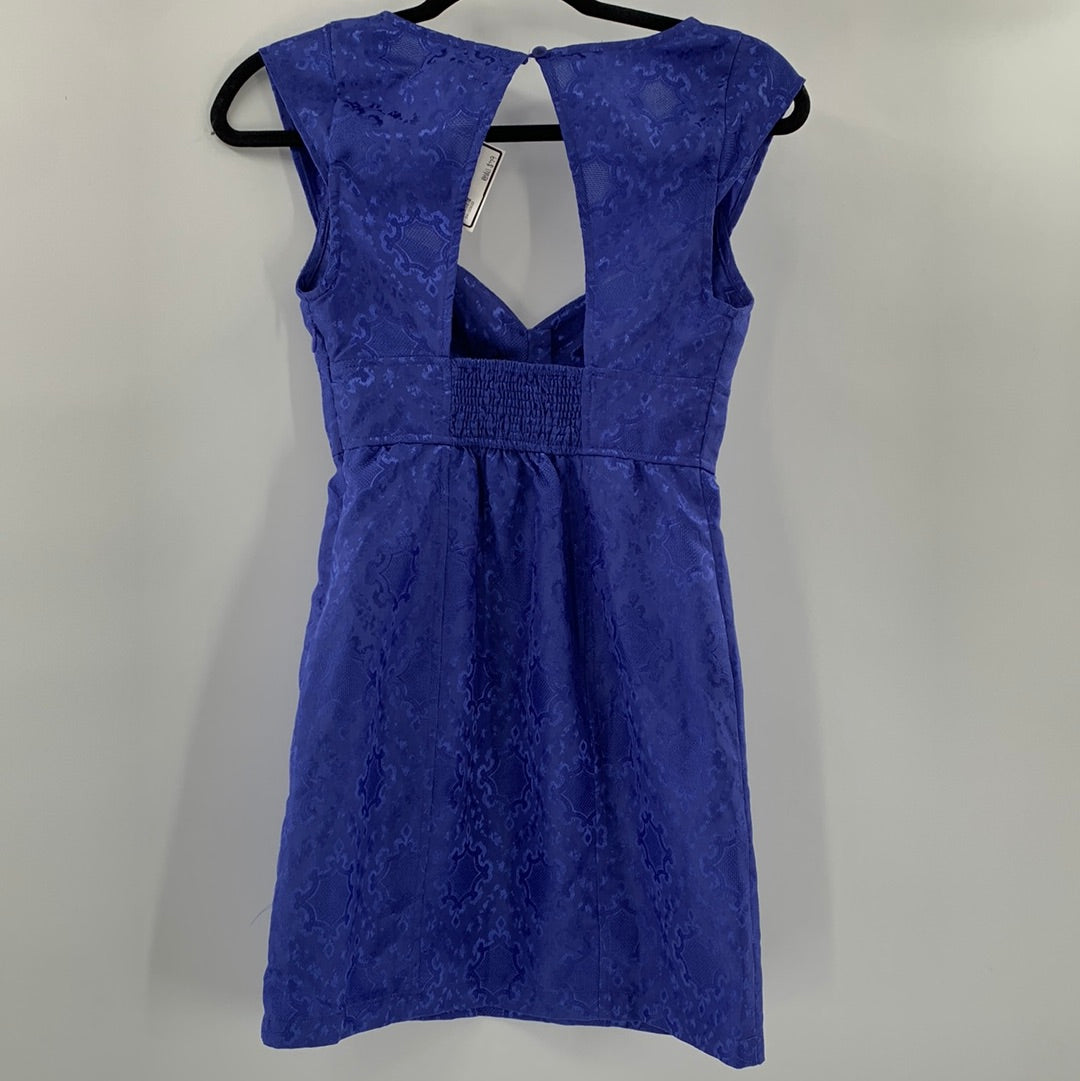 Urban Outfitters Periwinkle Dress (SzXS)
