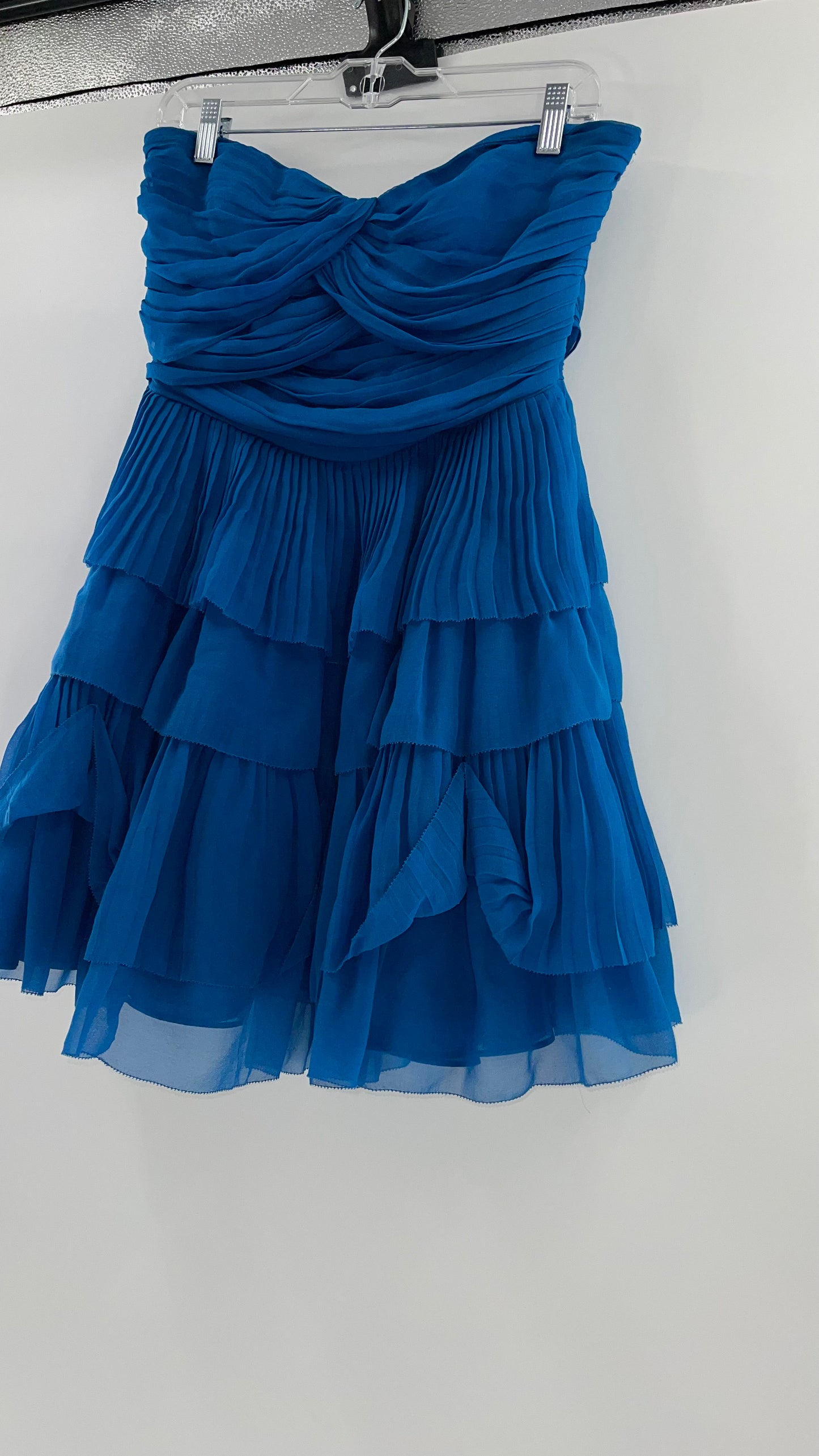 Diane Von Furstenburg 100% Silk Blue Ruffled Mini (10)