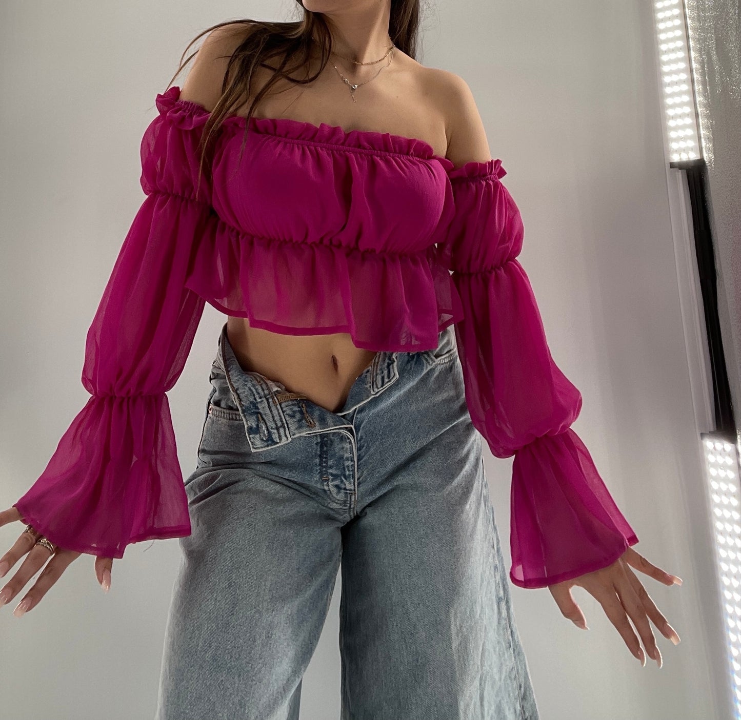 Fashion Nova Fuchsia Sheer Long Sleeve Crop (Small)