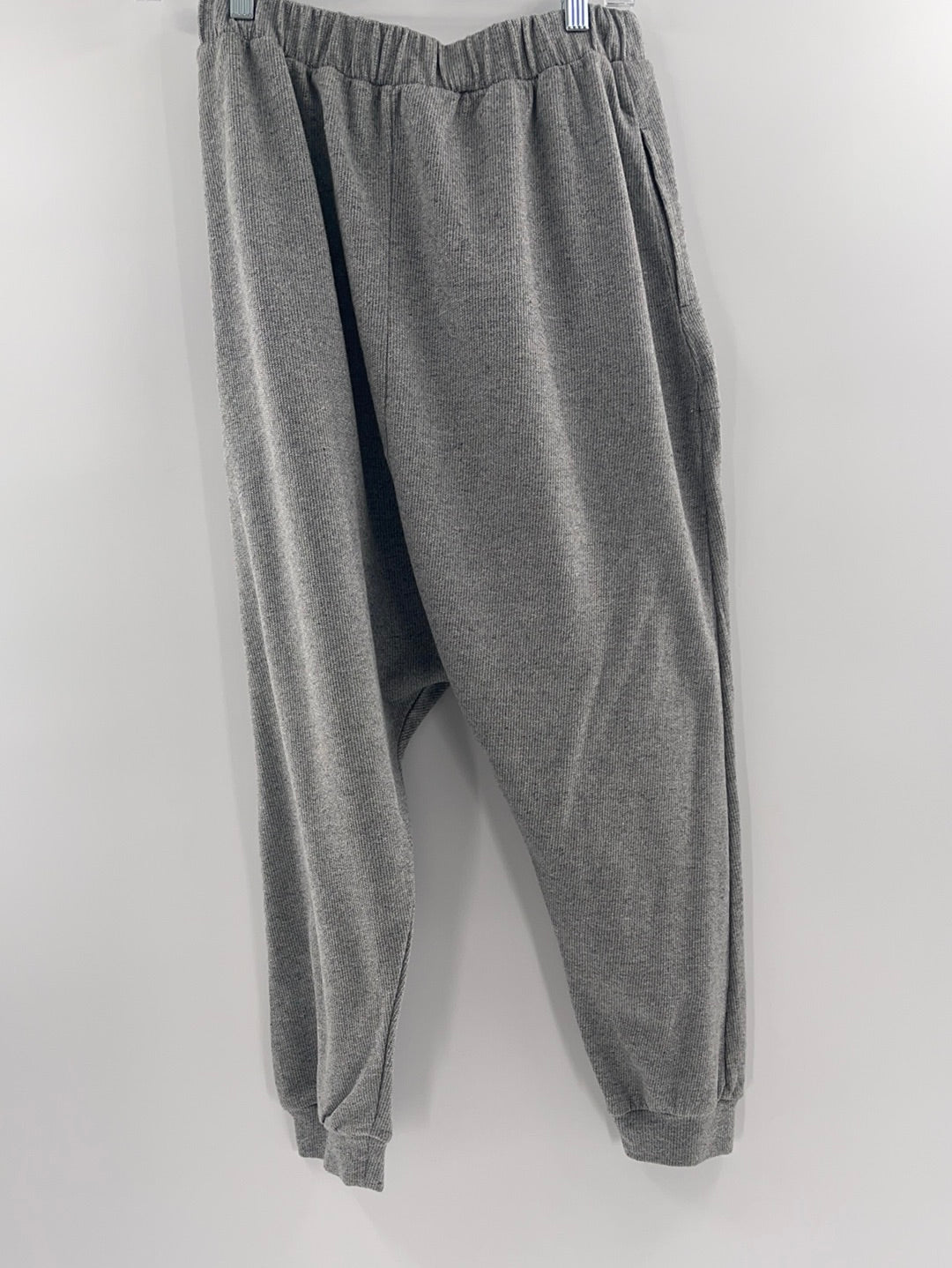 Grey Free People Elastic Beach Pants / sweats