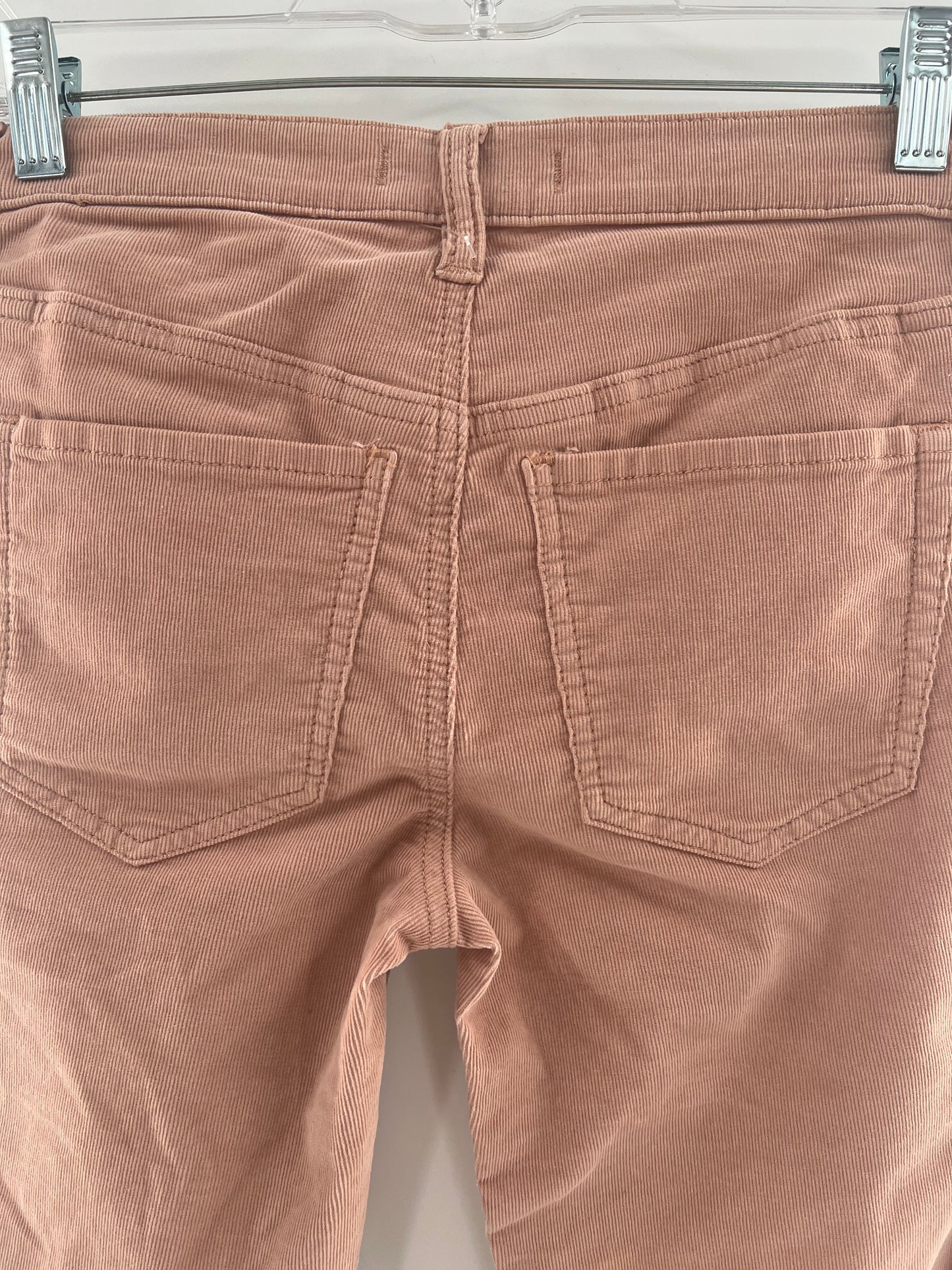 Free People Blush Corduroy Pants (Size 24)