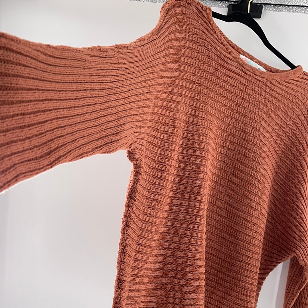 Free People Beach Batwing Terracotta Sweater (Size XS)