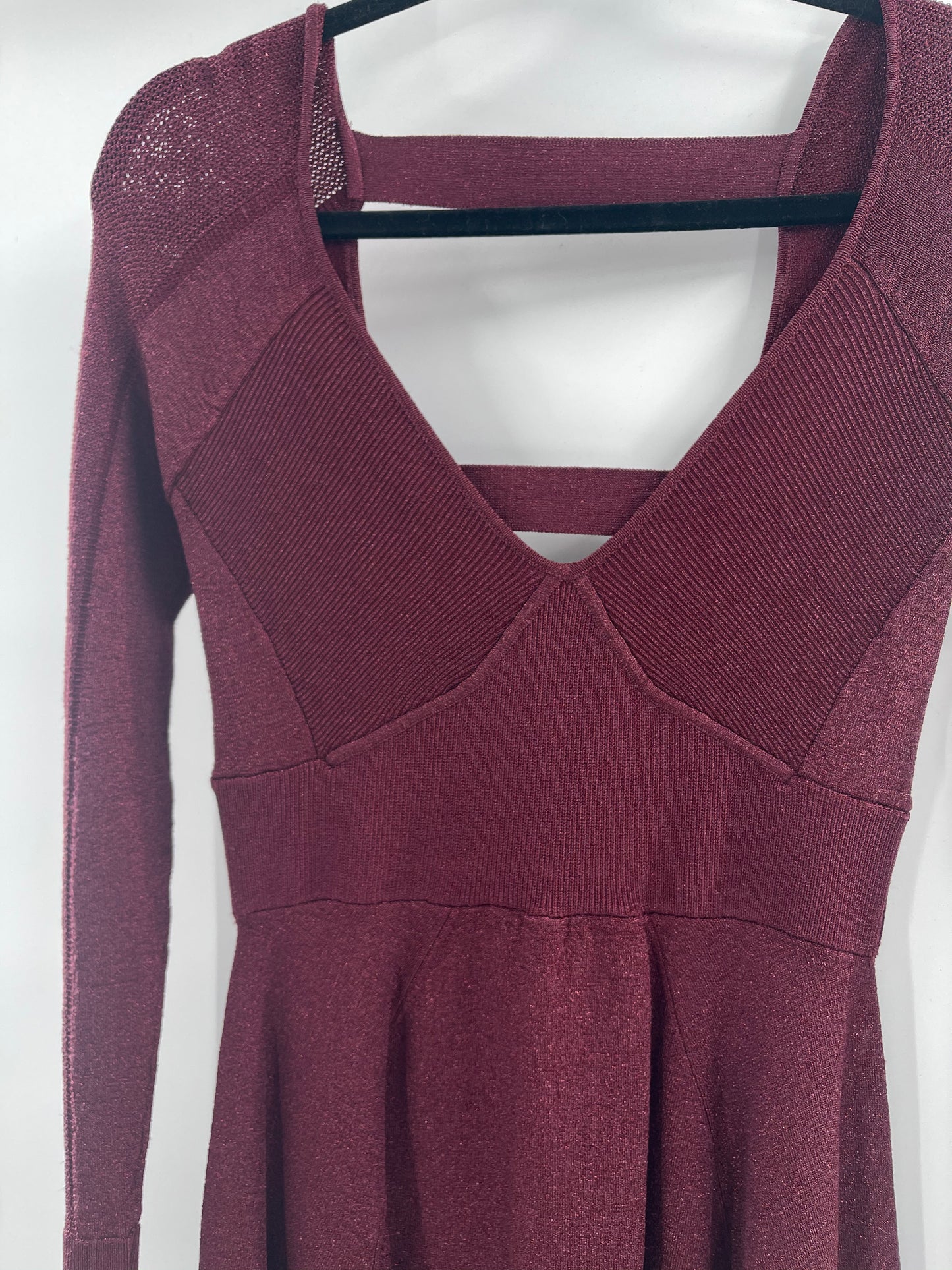 Free People Plum Dress (S)