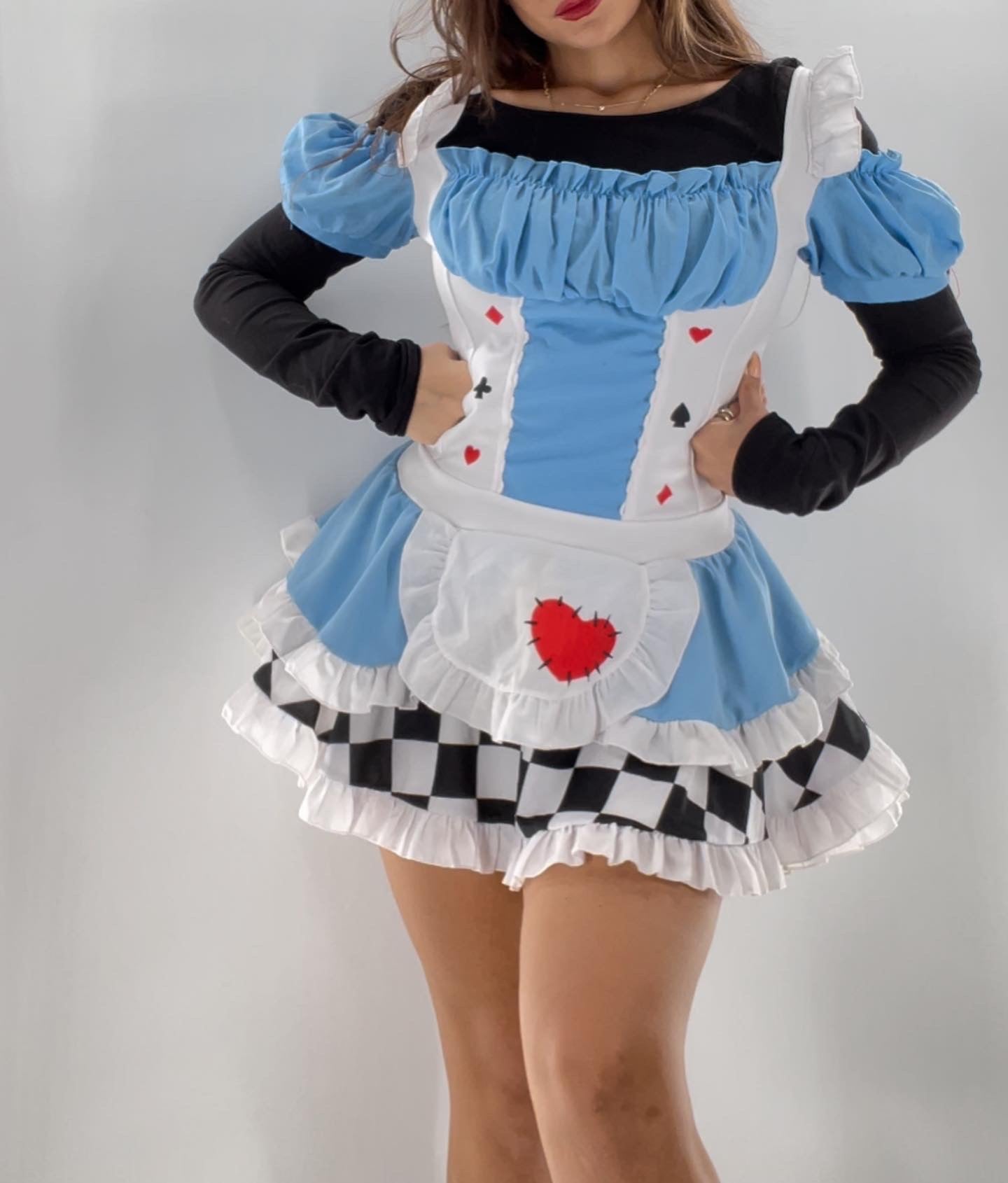 Alice in Wonderland Costume Dress (Medium)