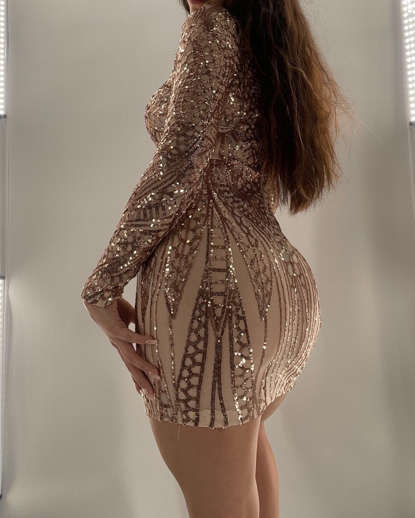 Sheer Rose Gold Sequin Long Sleeve Dress (S)