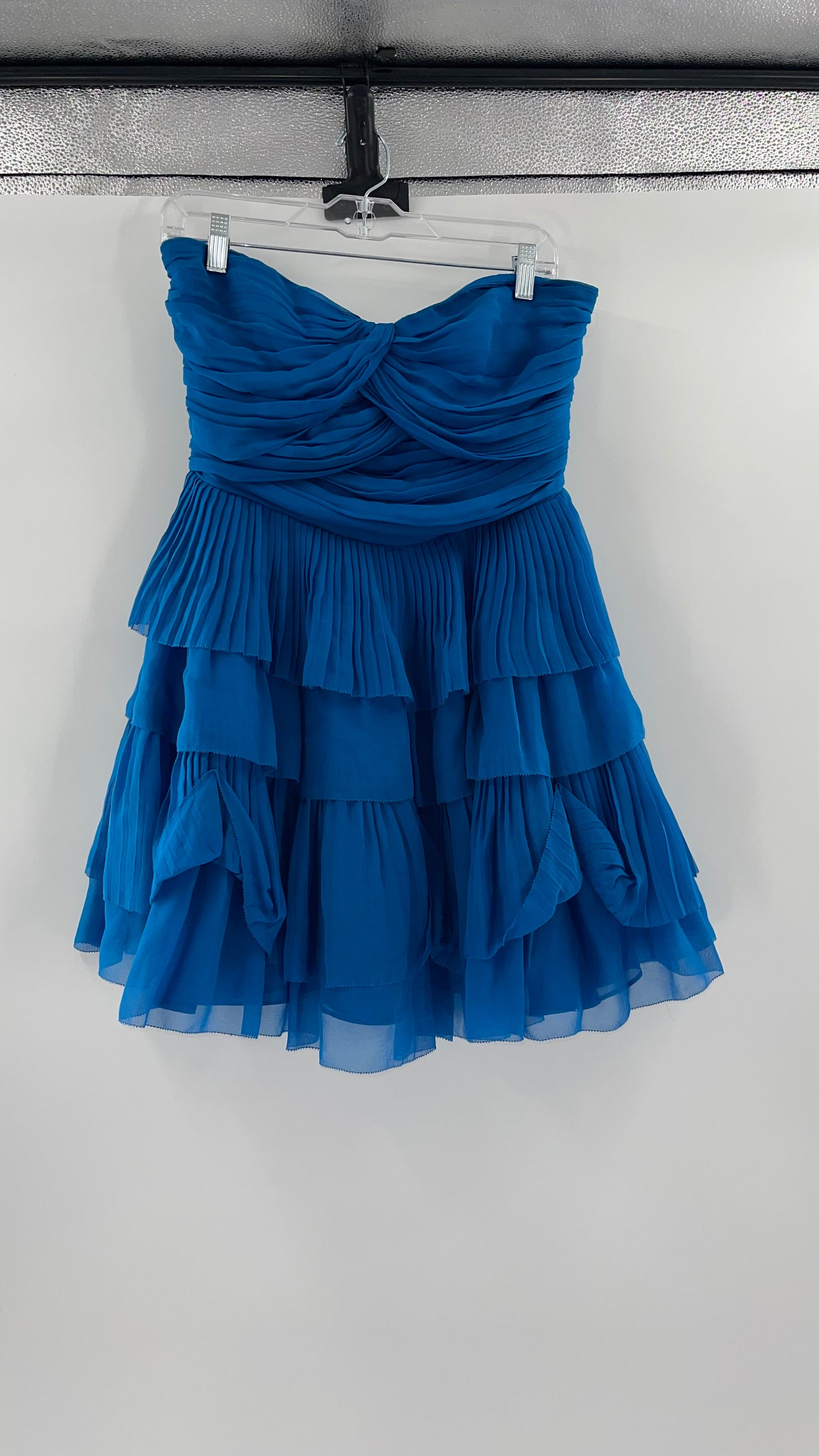 Diane Von Furstenburg 100% Silk Blue Ruffled Mini (10)