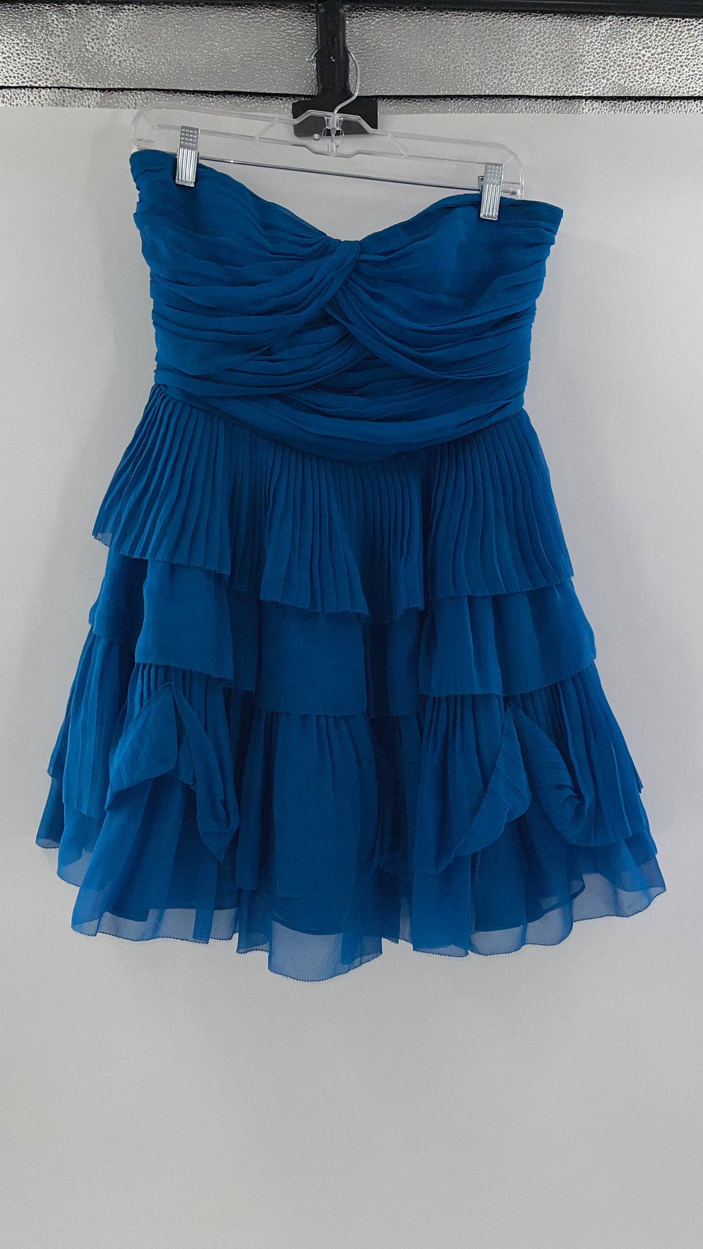 Diane Von Furstenburg 100% Silk Blue Ruffled Mini (10)