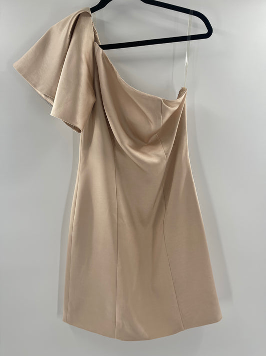 Fame and Partners X Free People Champagne Dress (4)