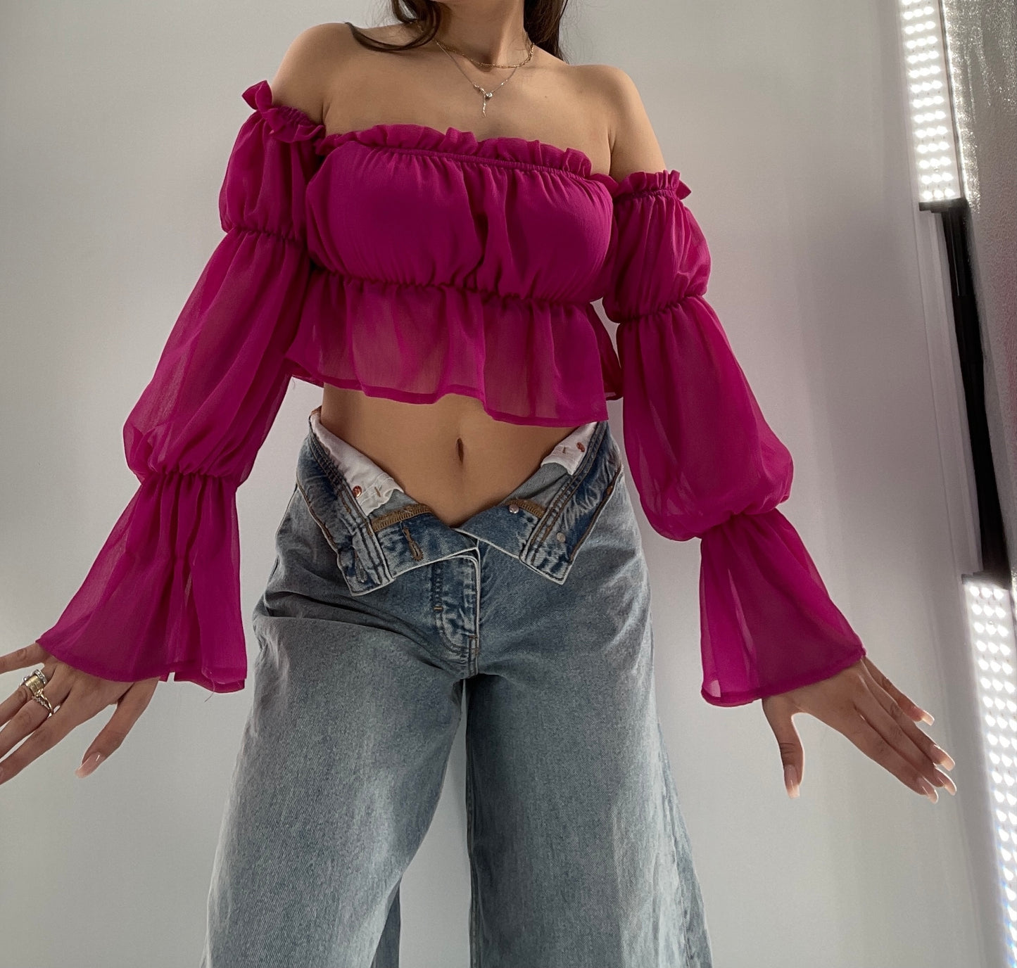 Fashion Nova Fuchsia Sheer Long Sleeve Crop (Small)