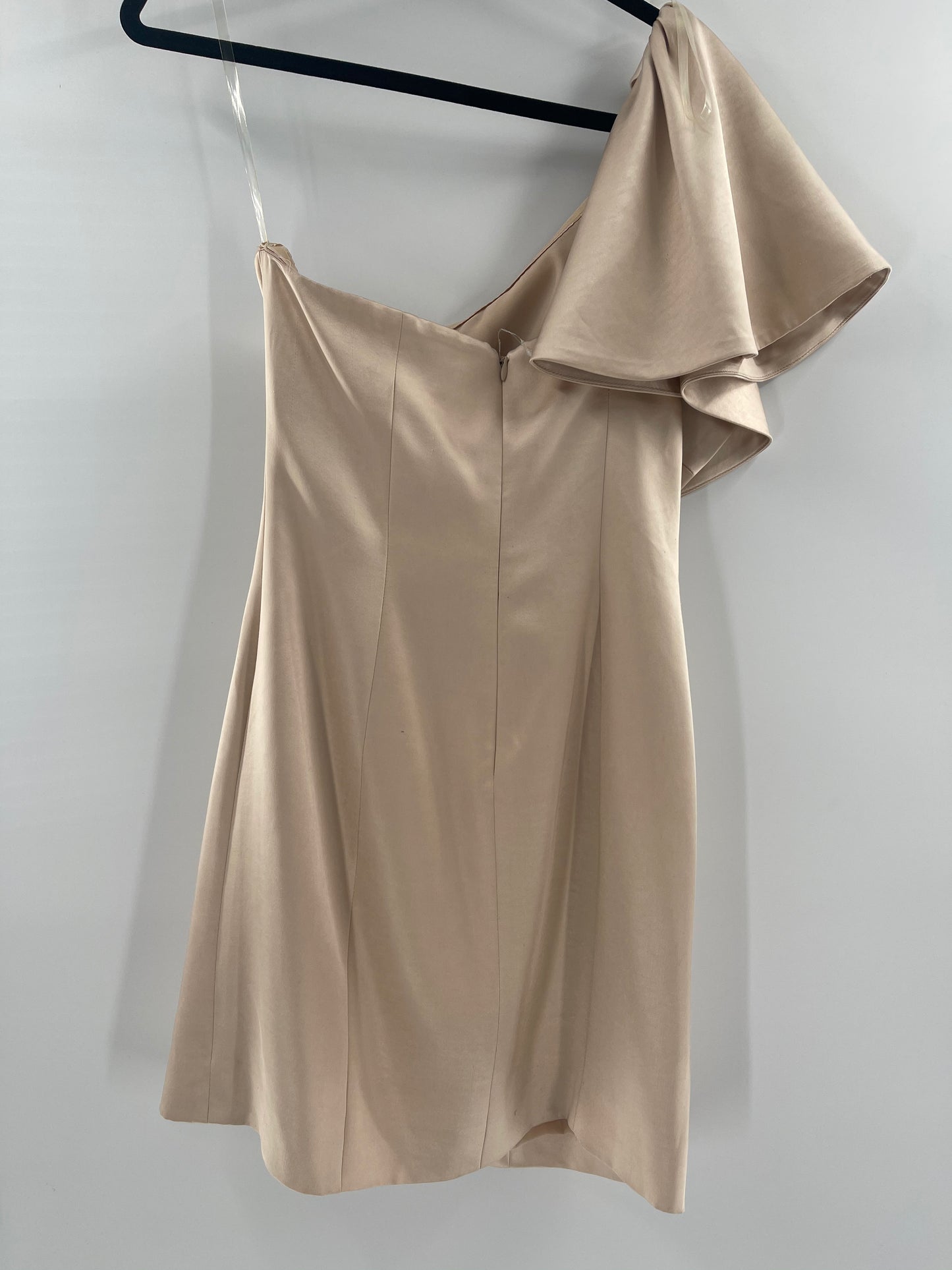 Fame and Partners X Free People Champagne Dress (4)