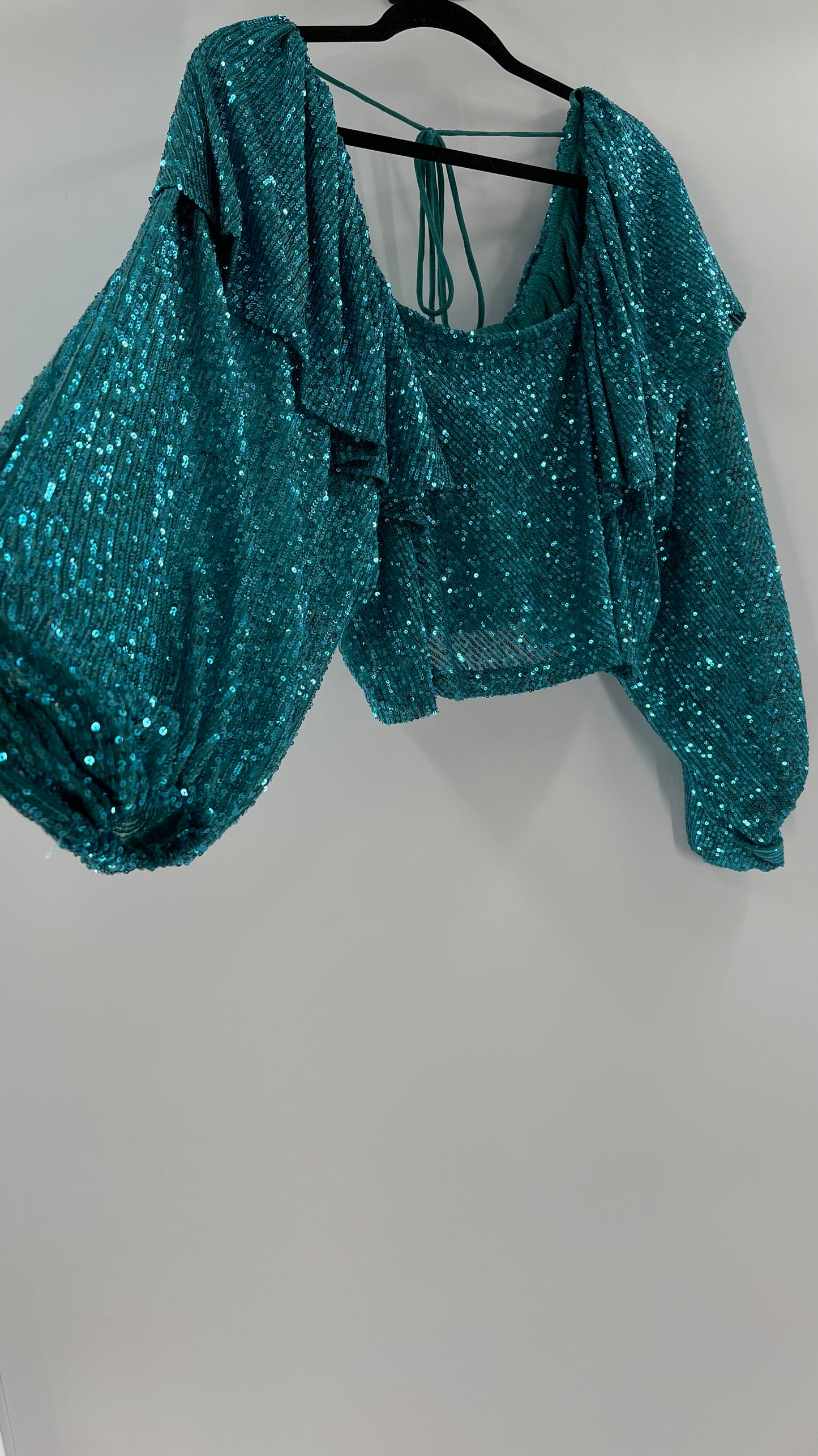 Free People Blue Sequin Long Sleeve (Small)