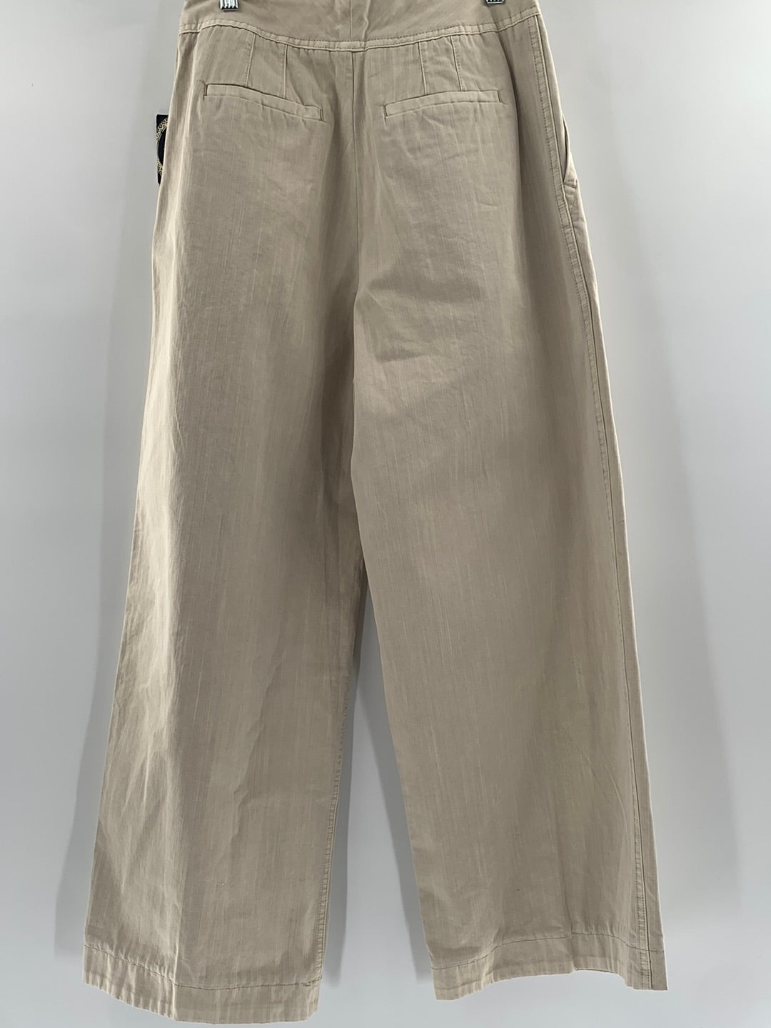 Free People Wide leg Pleated Trousers (Size 2)