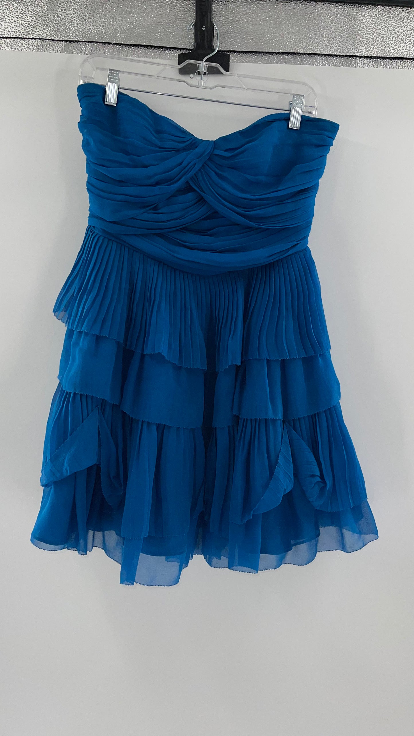 Diane Von Furstenburg 100% Silk Blue Ruffled Mini (10)