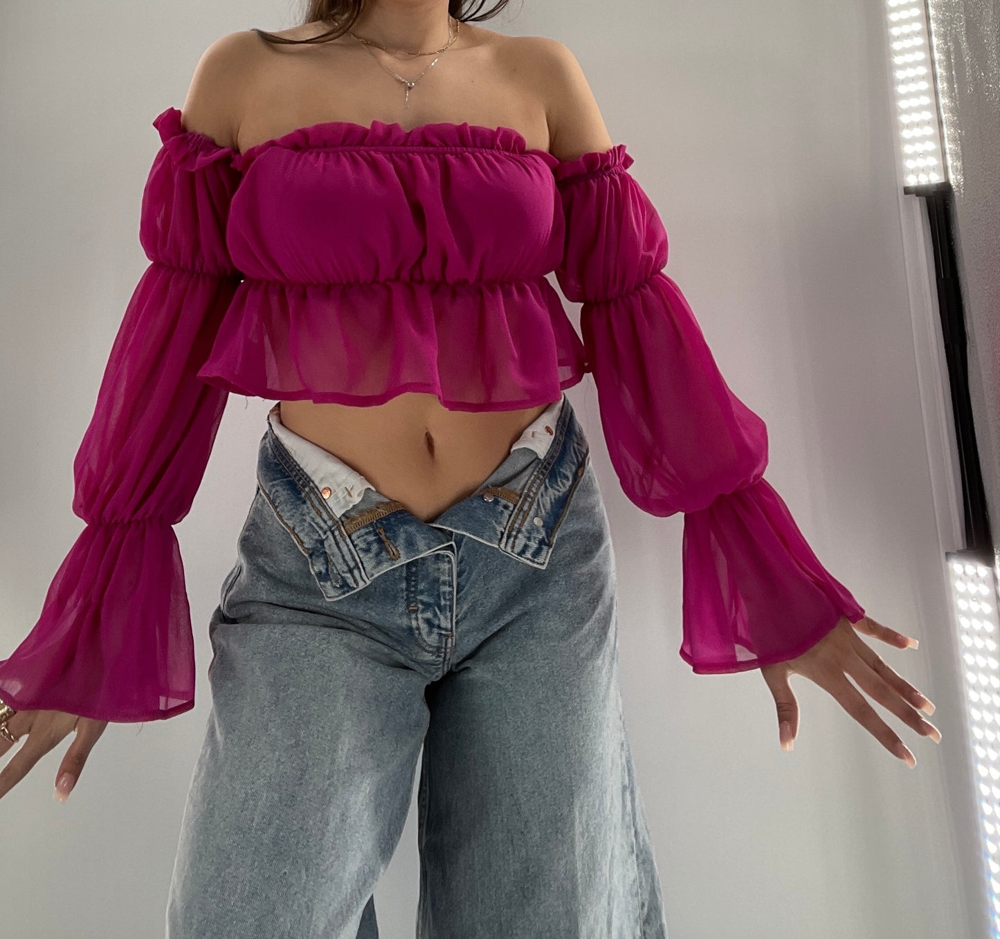 Fashion Nova Fuchsia Sheer Long Sleeve Crop (Small)