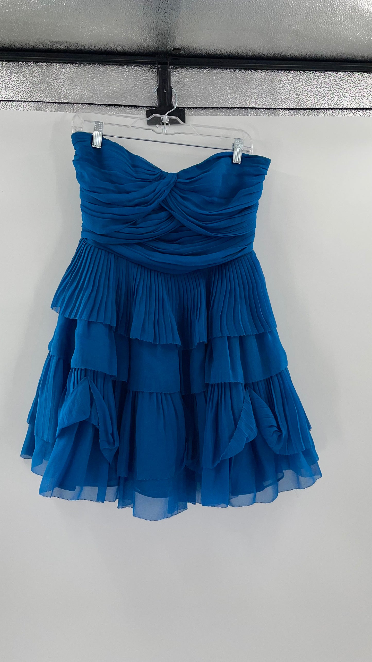 Diane Von Furstenburg 100% Silk Blue Ruffled Mini (10)