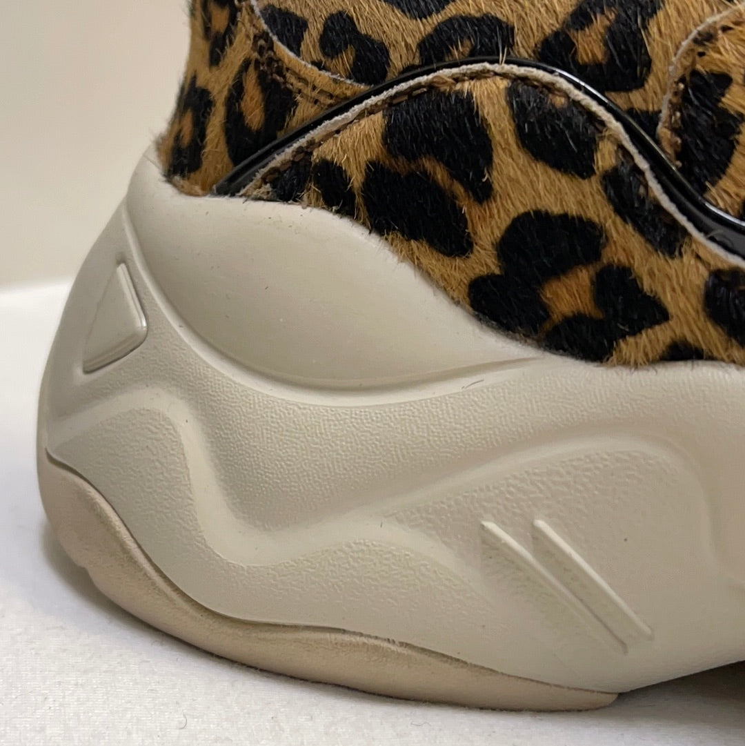 Sketchers X Urban Outfitters Leopard Print Collab Sneakers