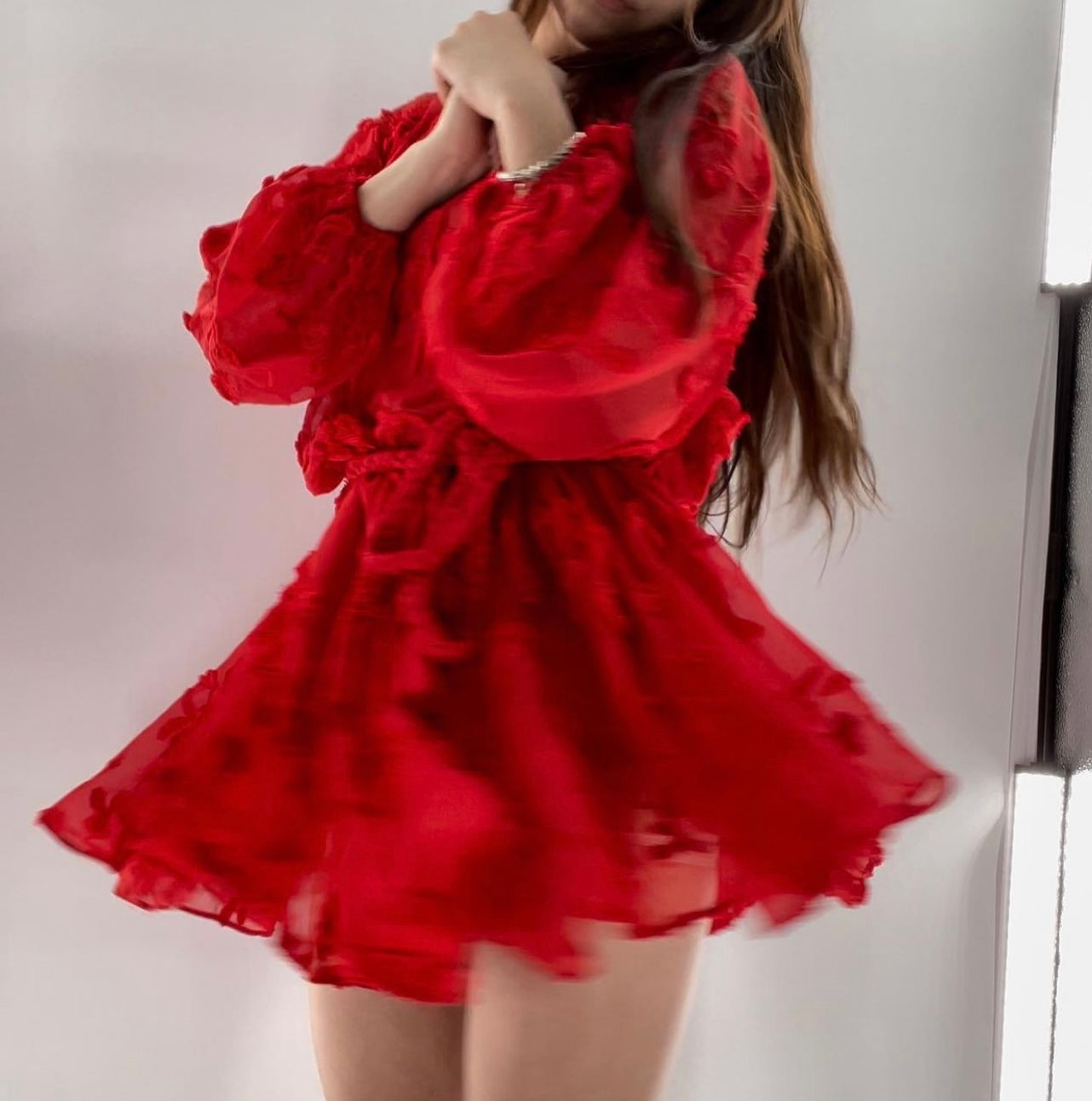 Mare Mare - Red Mesh Embroidered Flower Mini Dress