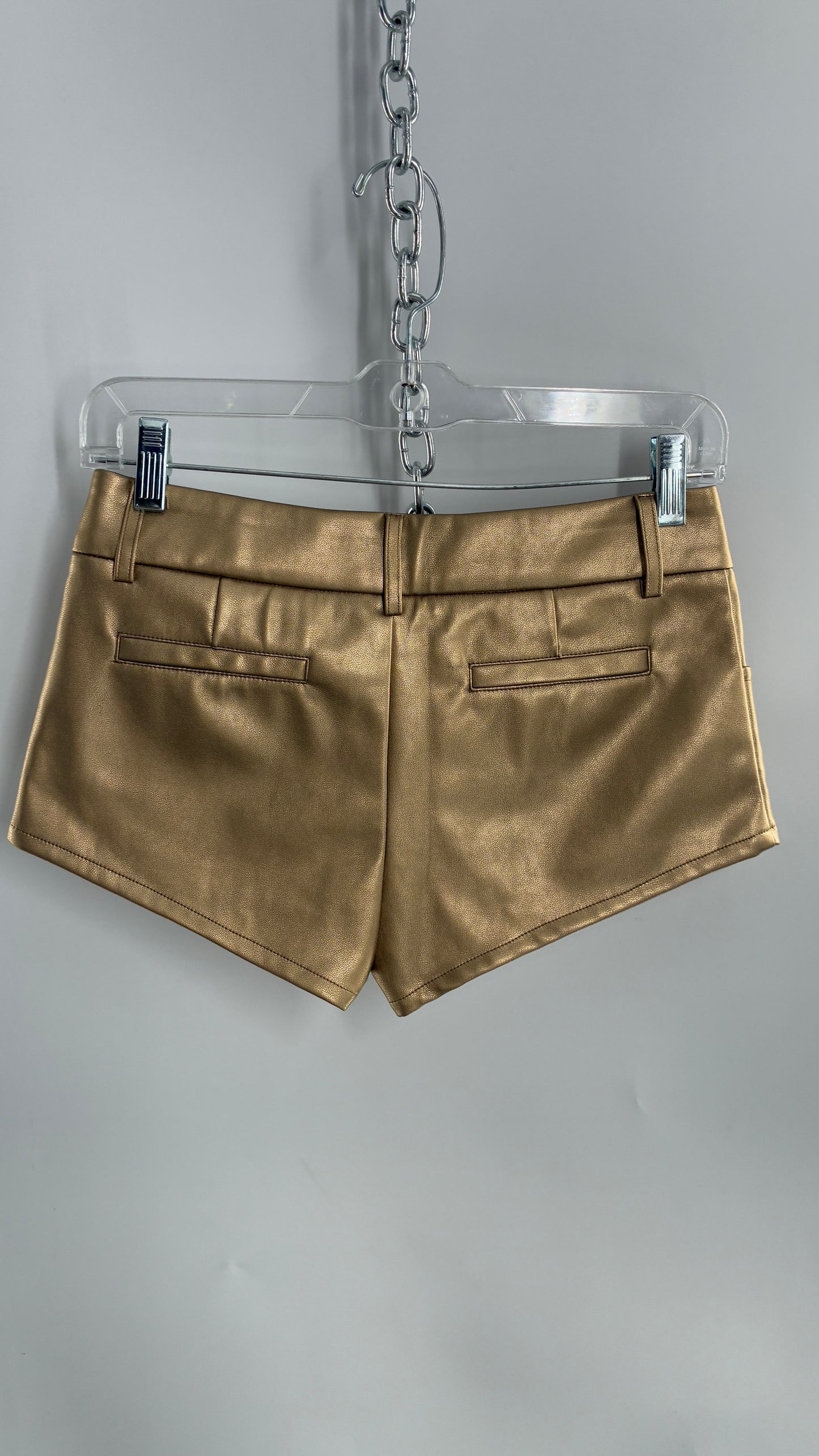 EDIKTED Gold Vegan Leather Low Waisted Hot Shorts (XS)