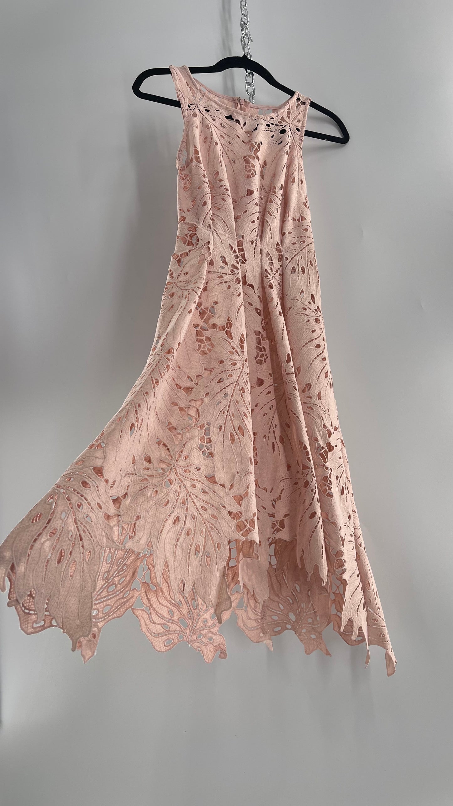 Anthropologie Eva Franco Baby Pink Completely Laser Cut Lace Palm Leaf Knee High Dress (2)