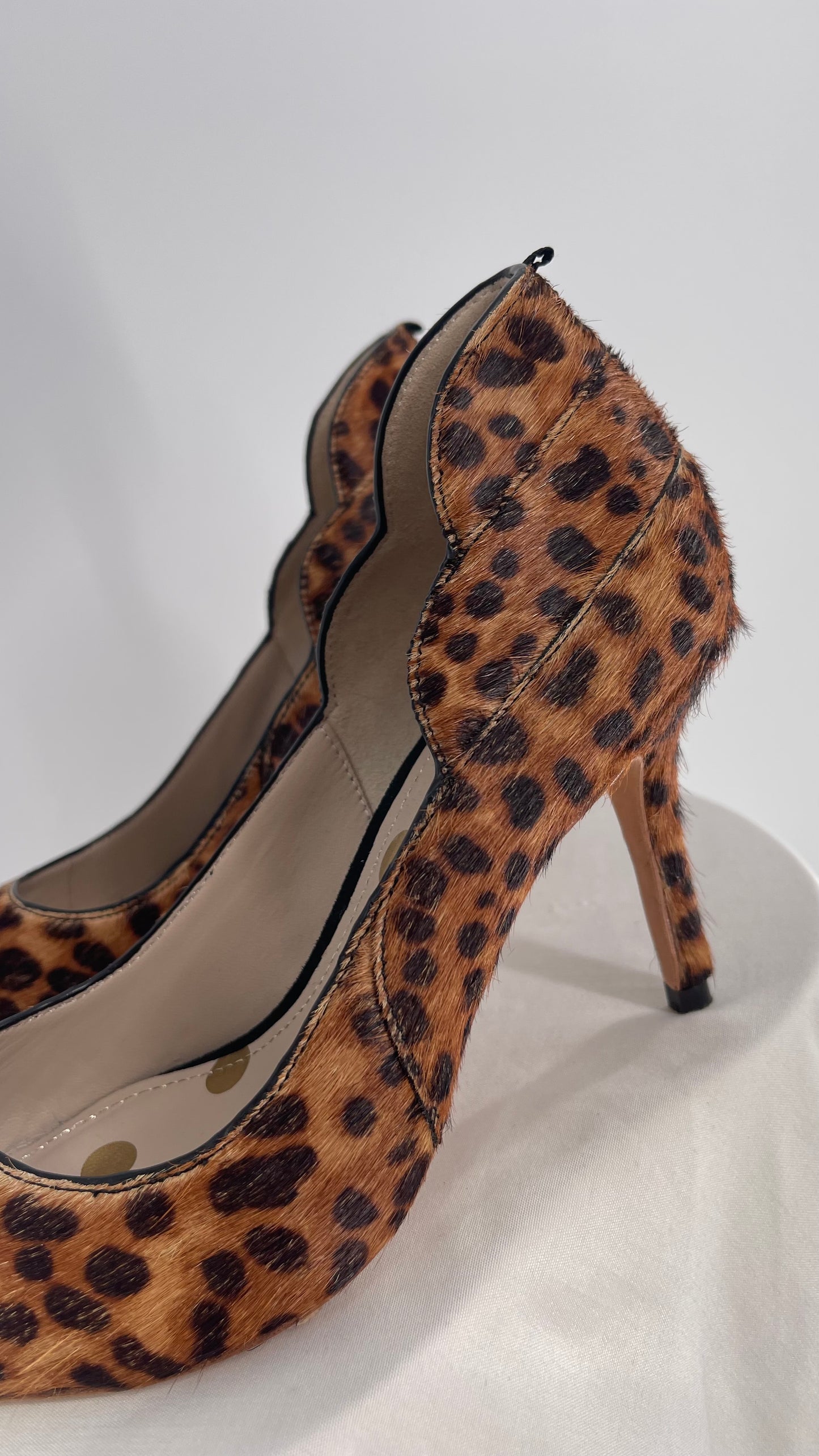 Boden Pony/Cow Hair Cheetah Patterned Pointed Heel (37.5)