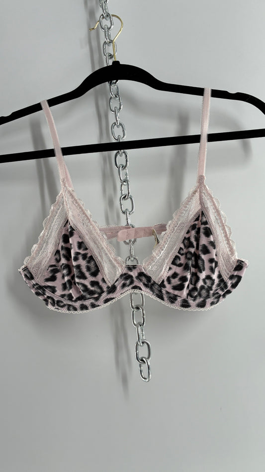 Intimately Free People Leopard Printed Graphic Lace Underwire Bra (34C)