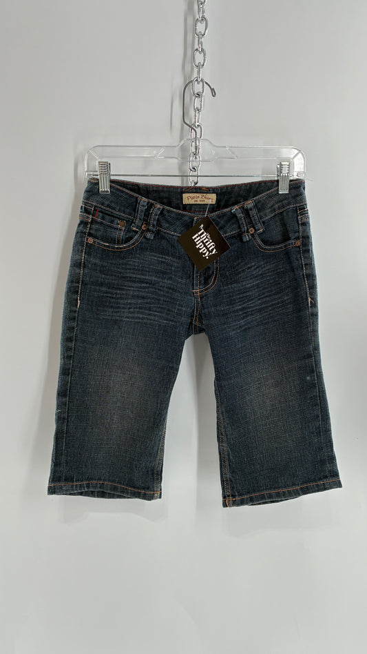 Vintage PARIS BLUES Low Rise Denim Shorts (3)