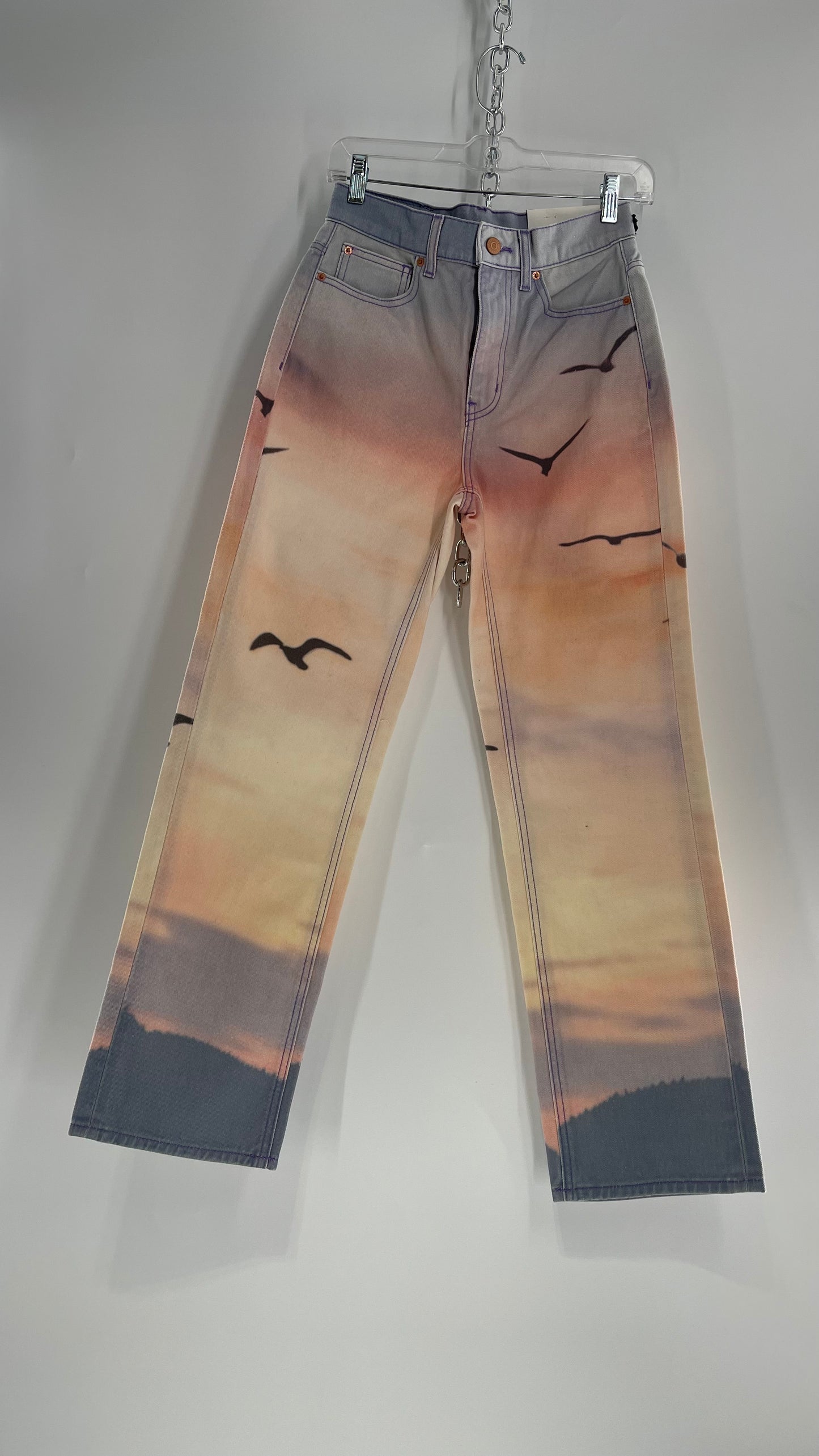 BDG Urban Outfitters Lilac Pink Horizon Line, Skyline Graphic Jeans (26)